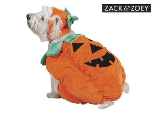 Pumpkin Costume By Zack & Zoey - MD