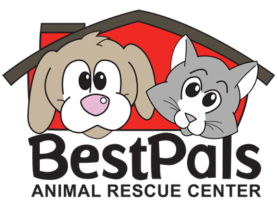 Pets for Adoption at Empire Animal Rescue Society, in Salamanca, NY