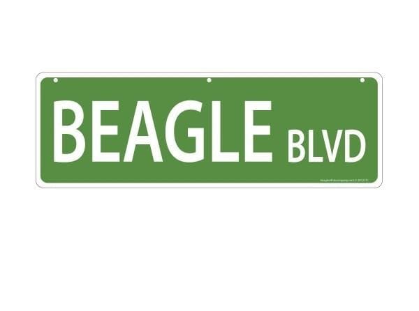 Imagine This Pet-Themed Street Signs - Beagle
