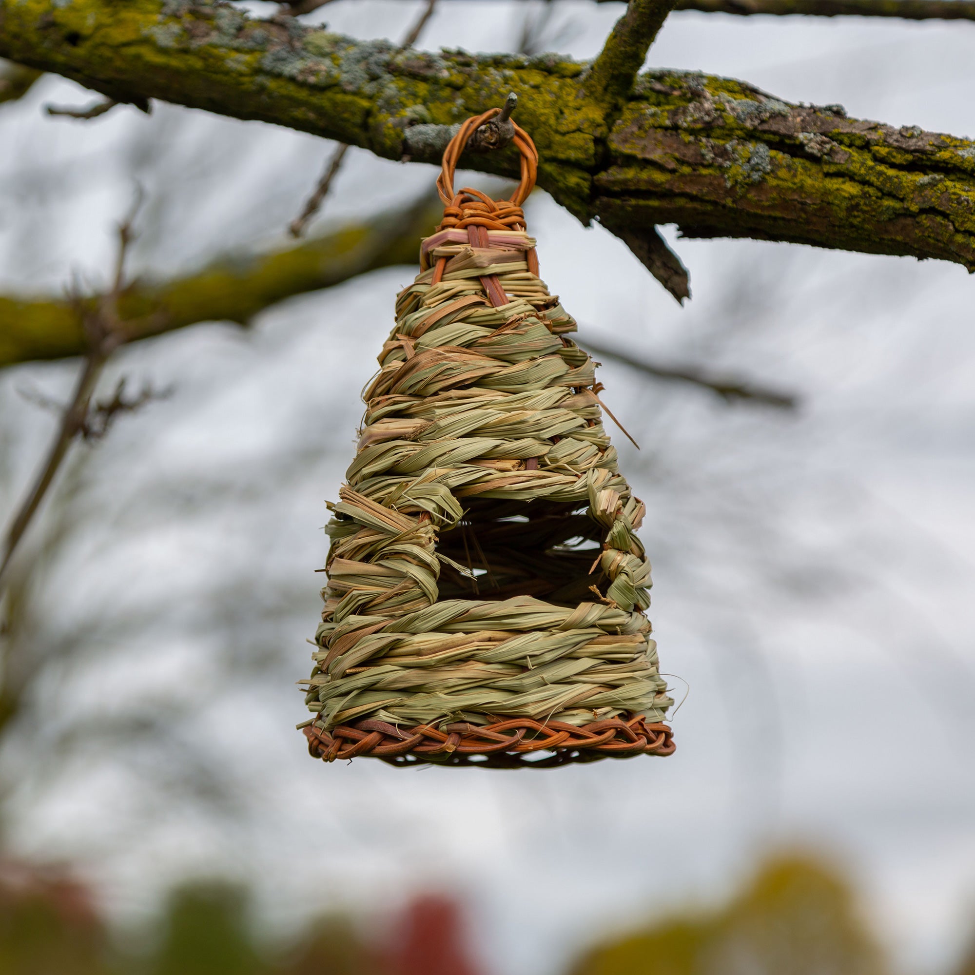 Roosting Pocket Birdhouse , 100% Natural Reed Grass - Hive