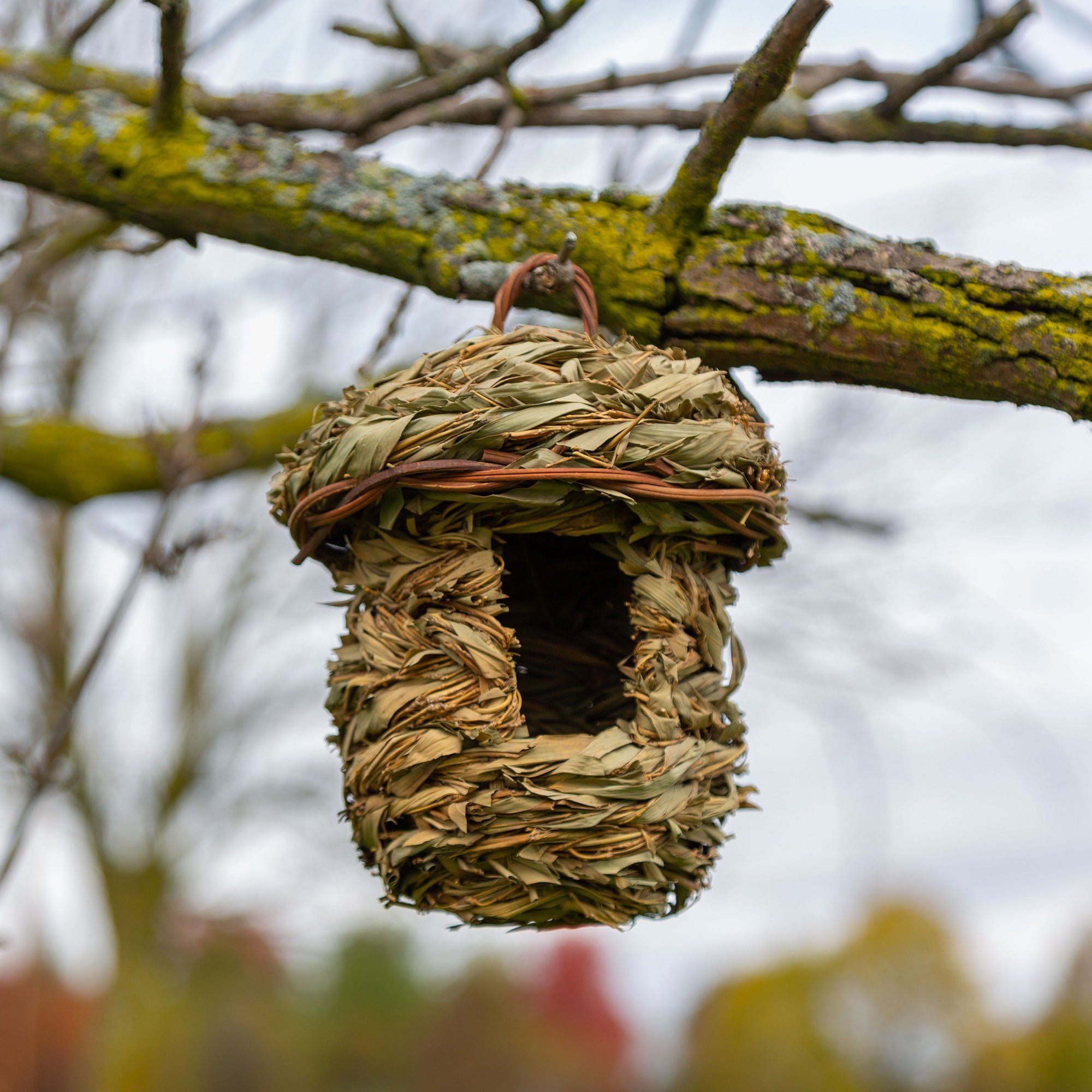 Roosting Pocket Birdhouse , 100% Natural Reed Grass - Acorn