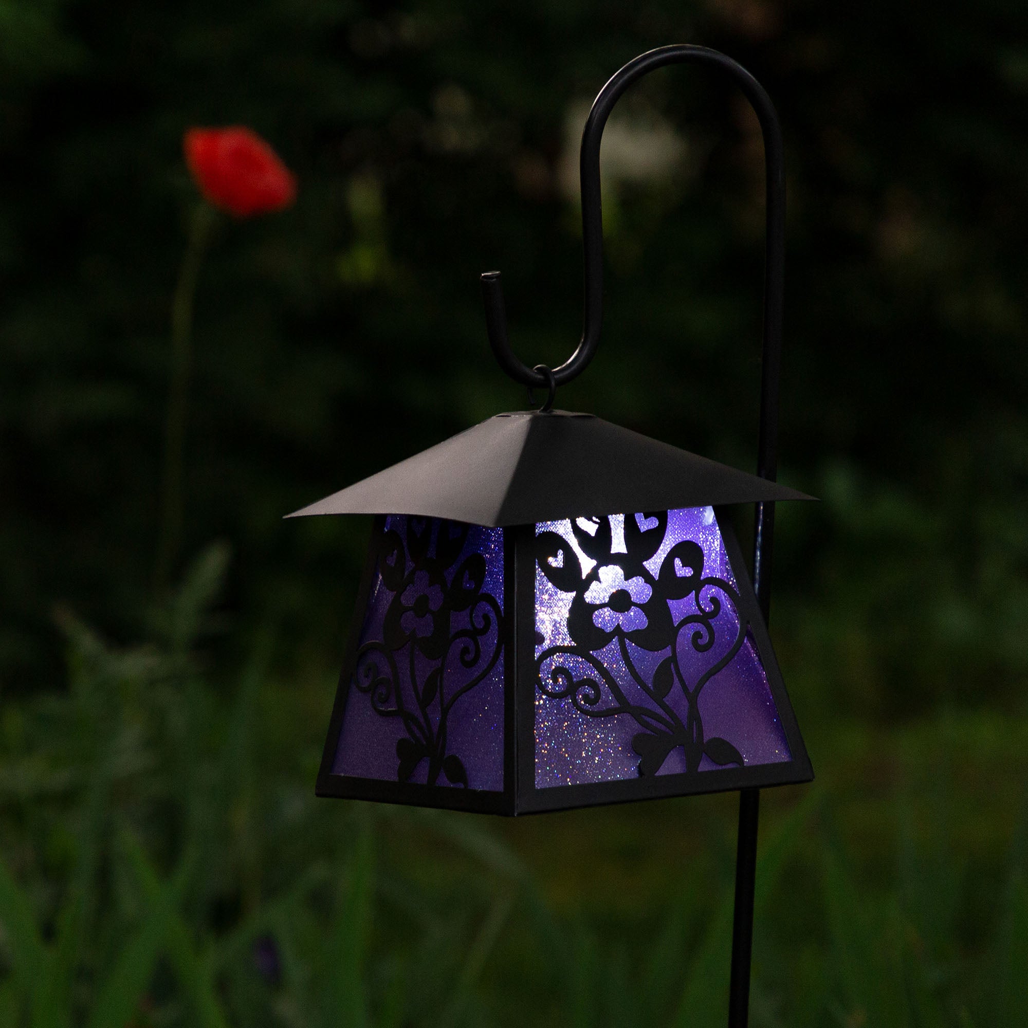 Garden Paw Metal Solar Lantern