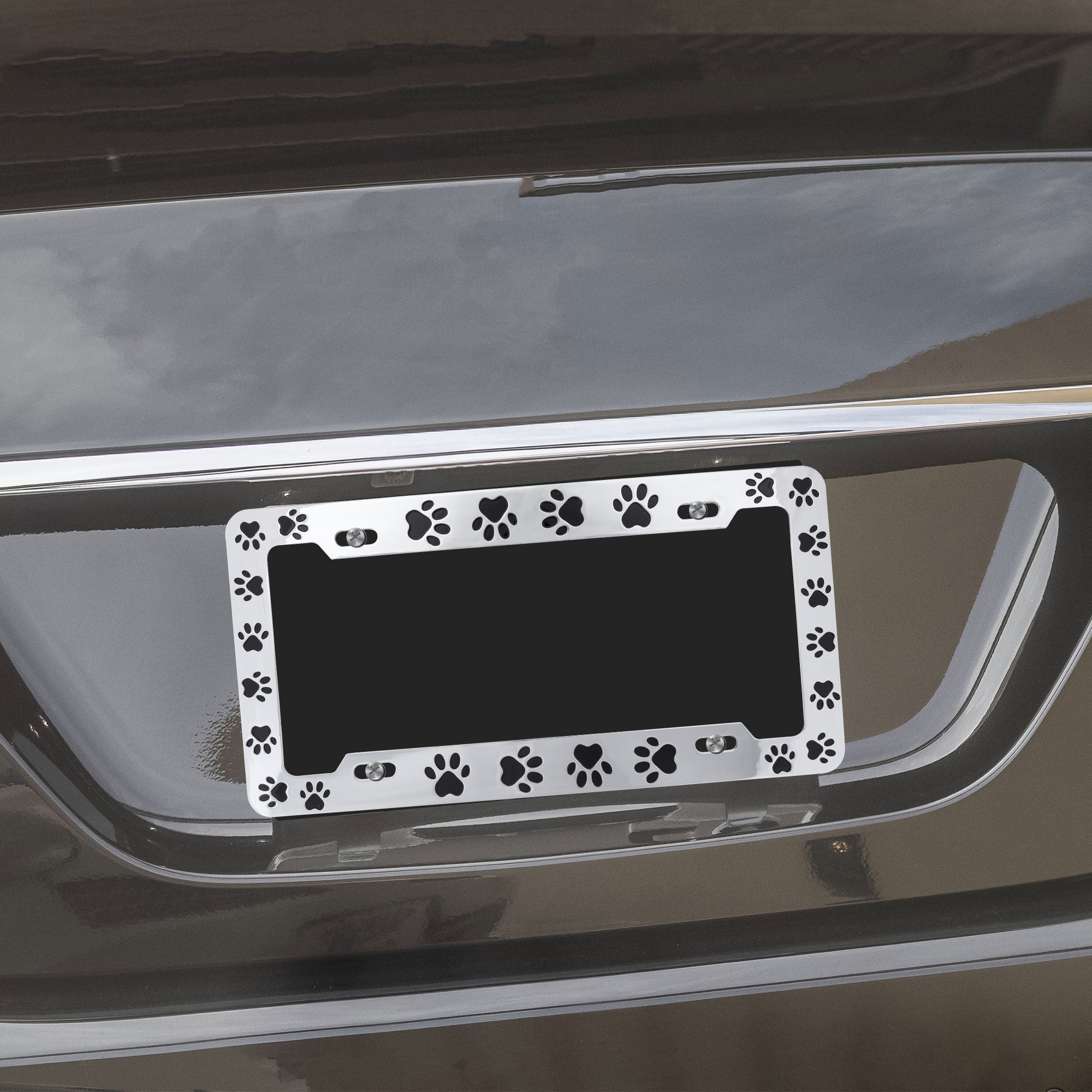 Paws Galore License Plate Frame - Single