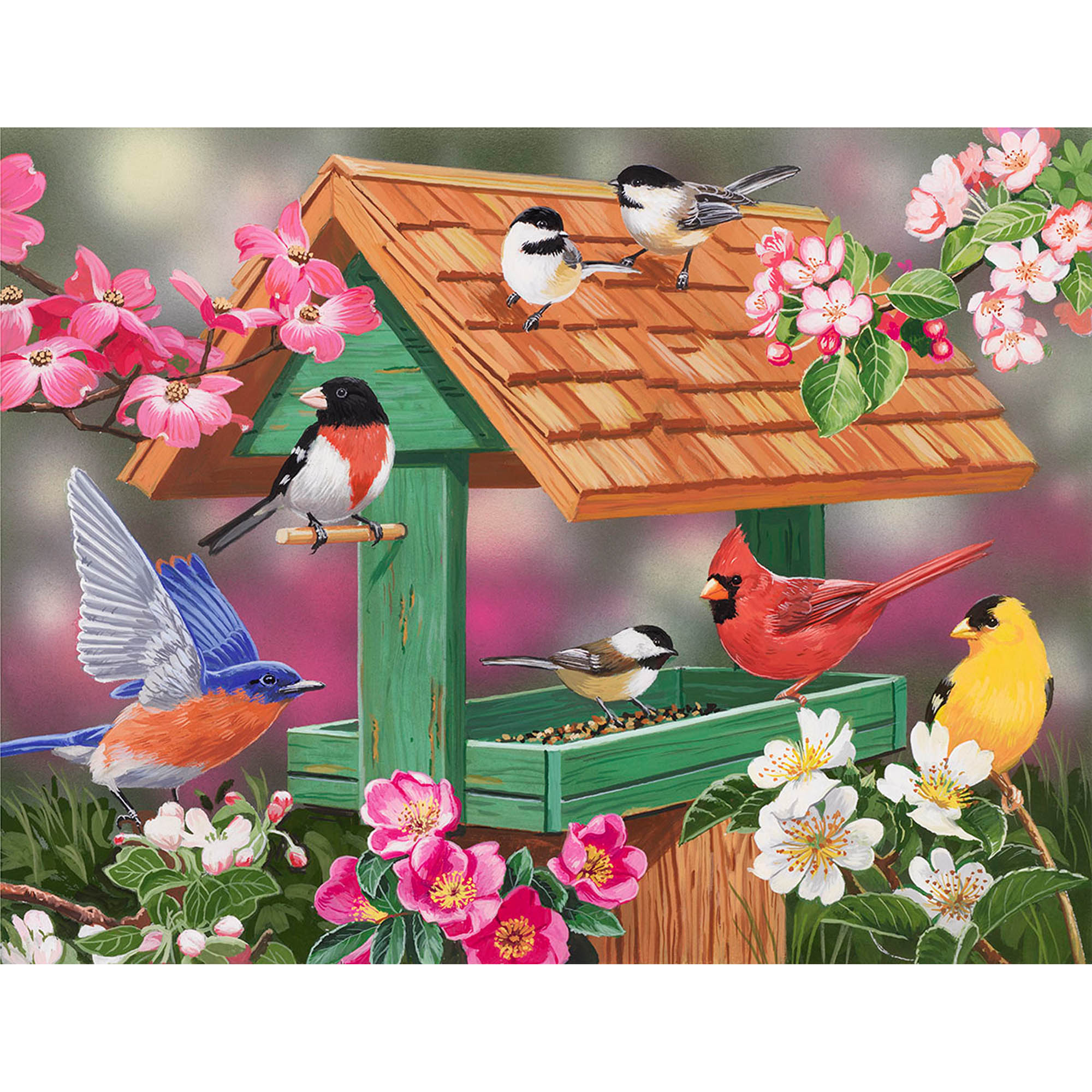 Colorful Creatures Puzzle - Feathers & Flowers