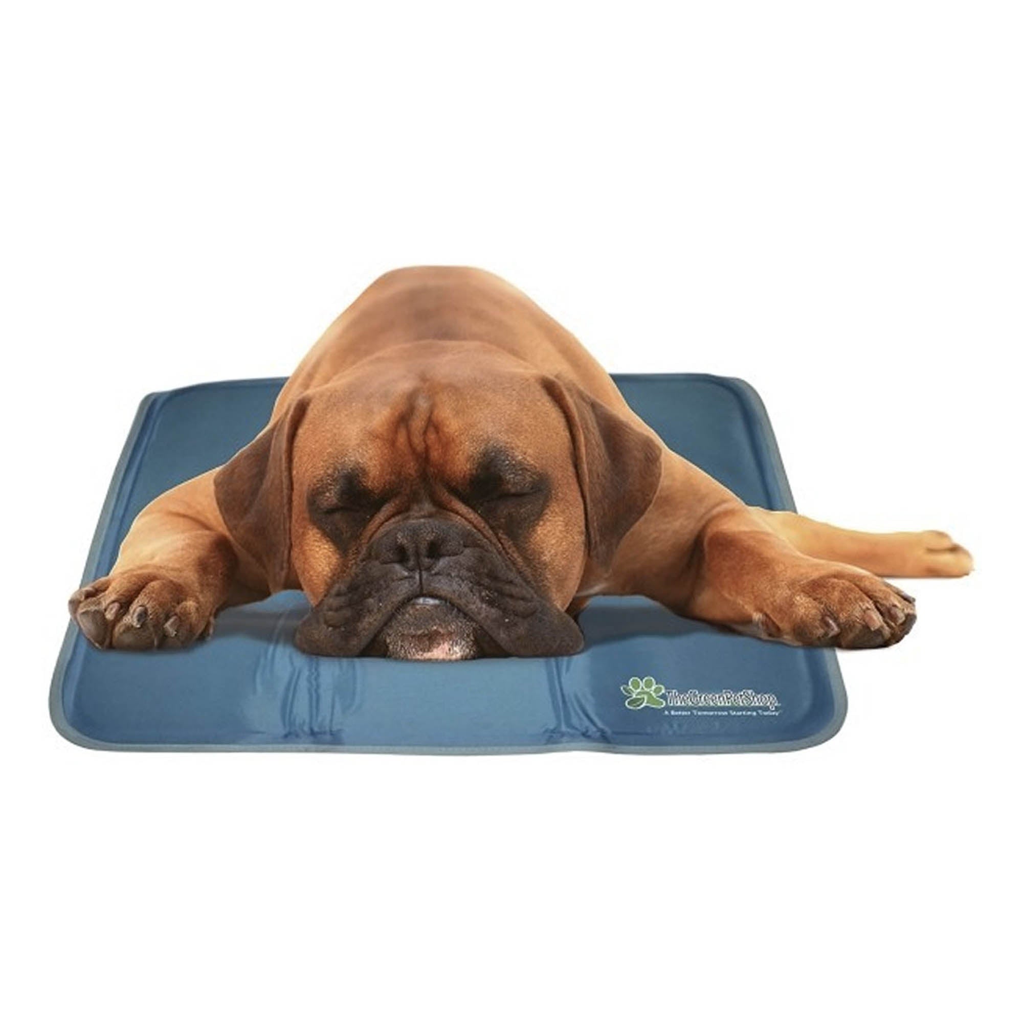 Green Pet Cooling Pad - S