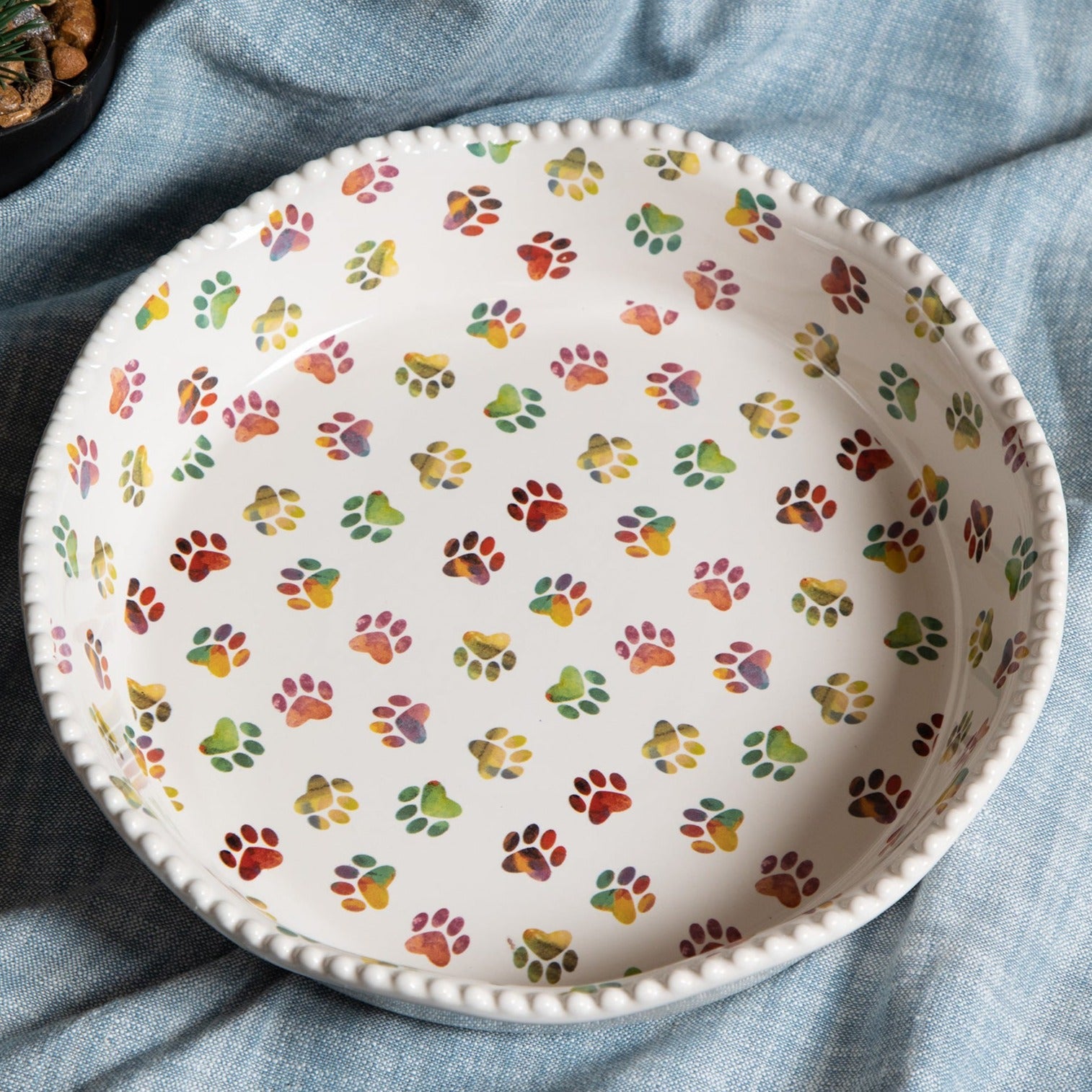 Decorative 10 Ceramic Pie Plate - Rainbow Ombre Paws