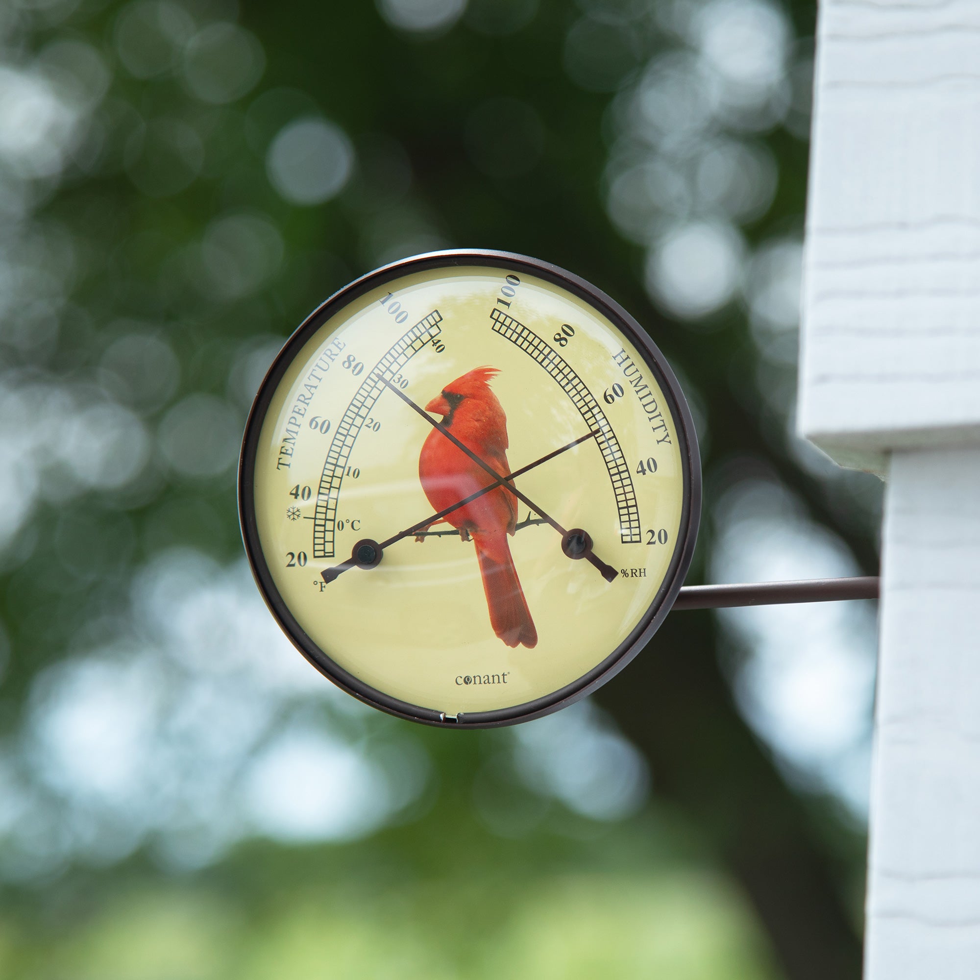 Dial Weather Station - Cardinal Comfortmeter