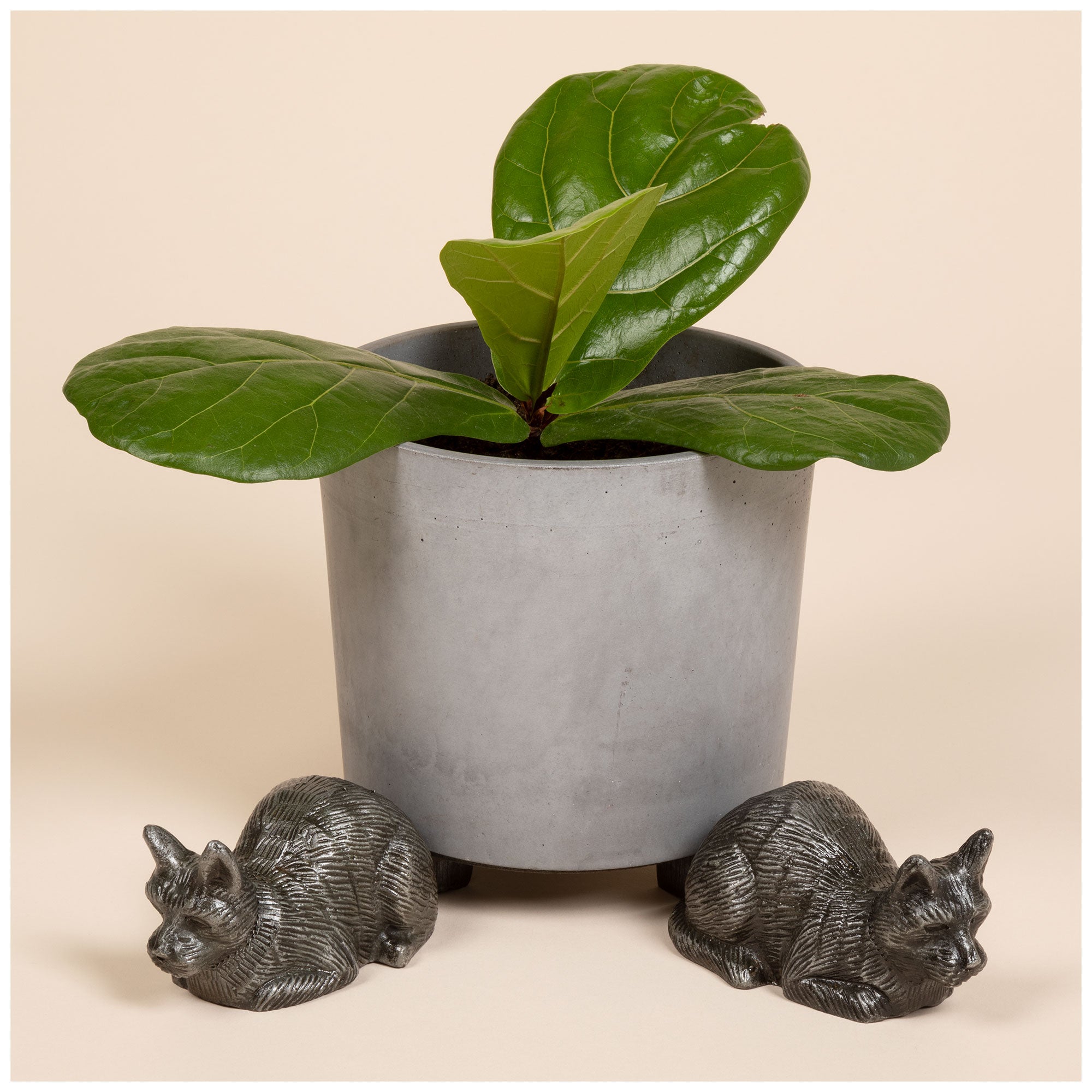 Iron Potted Plant Feet - Cat