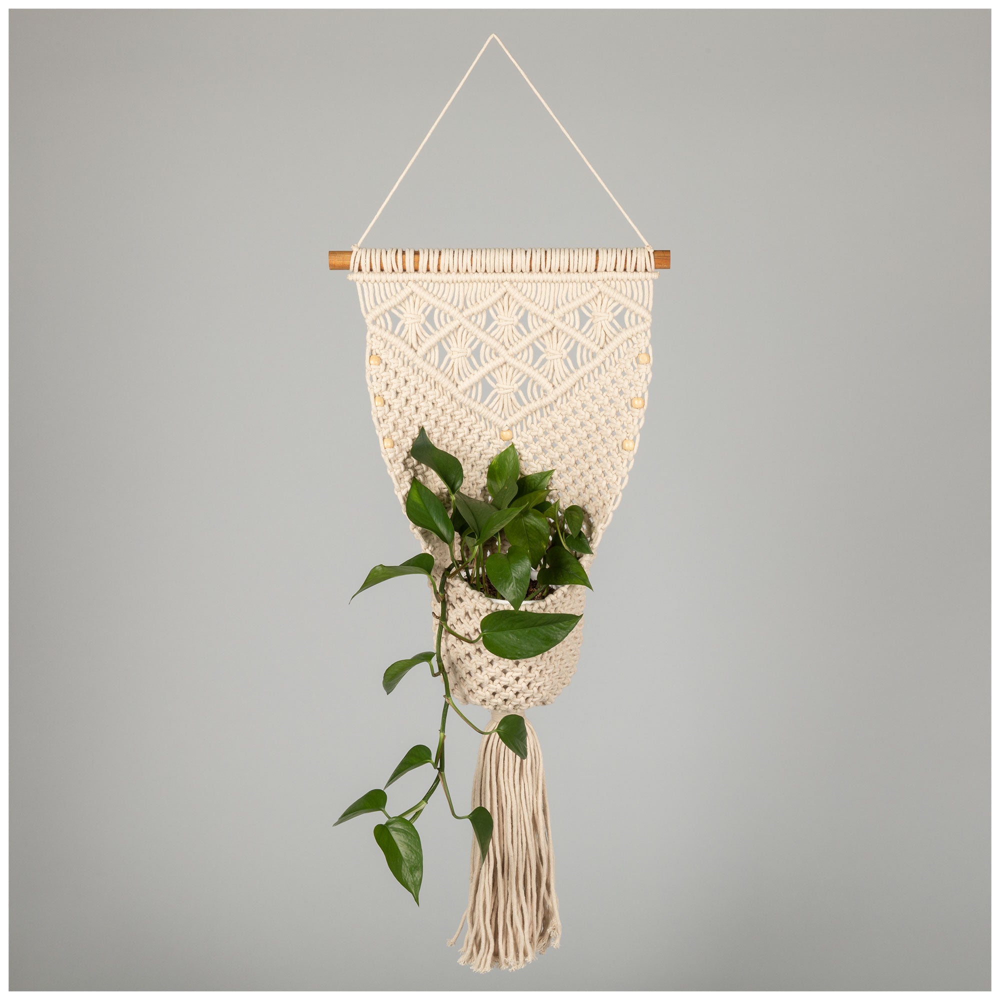 Macrame Hanging Wall Basket