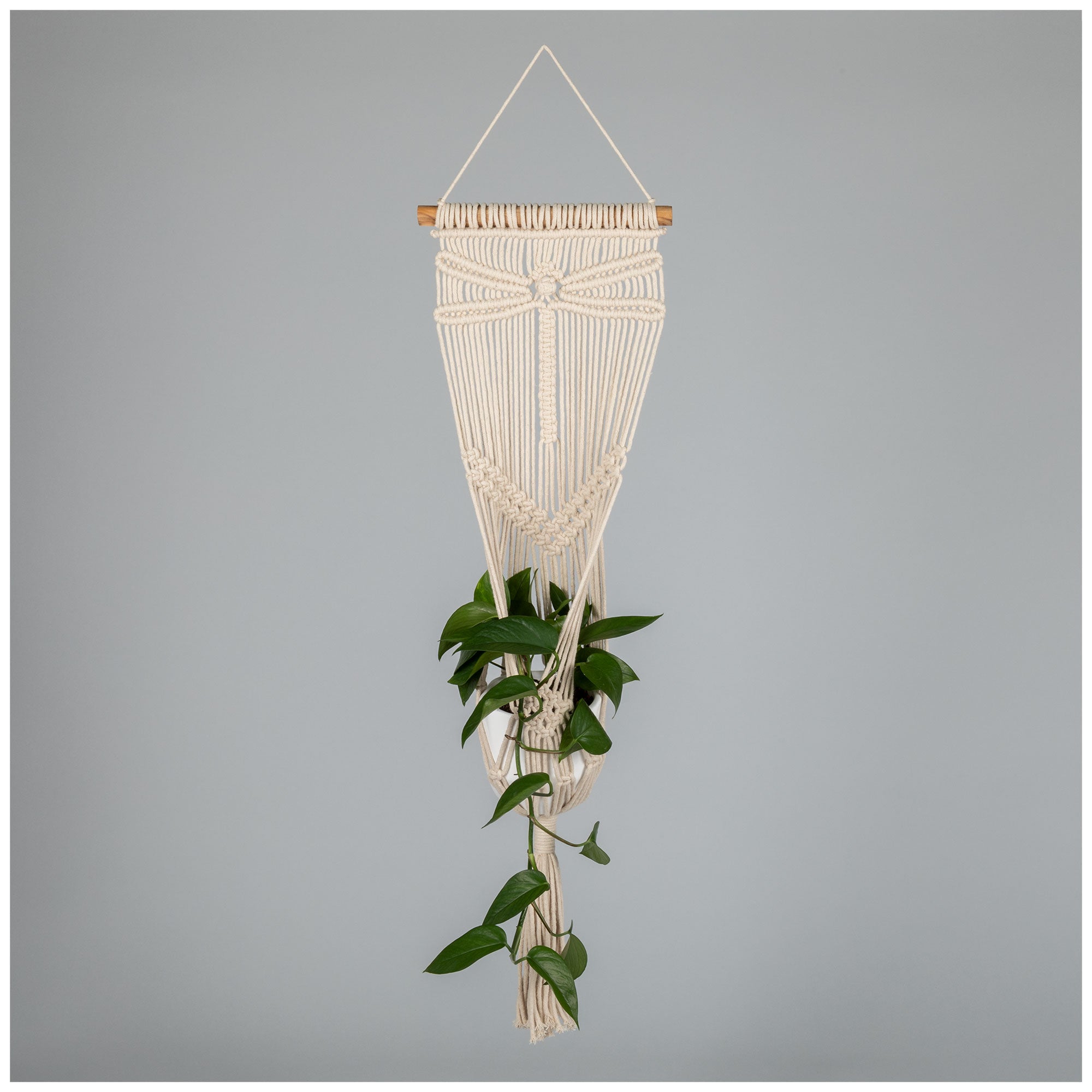 Macrame Hanging Plant Holder - Dragonfly