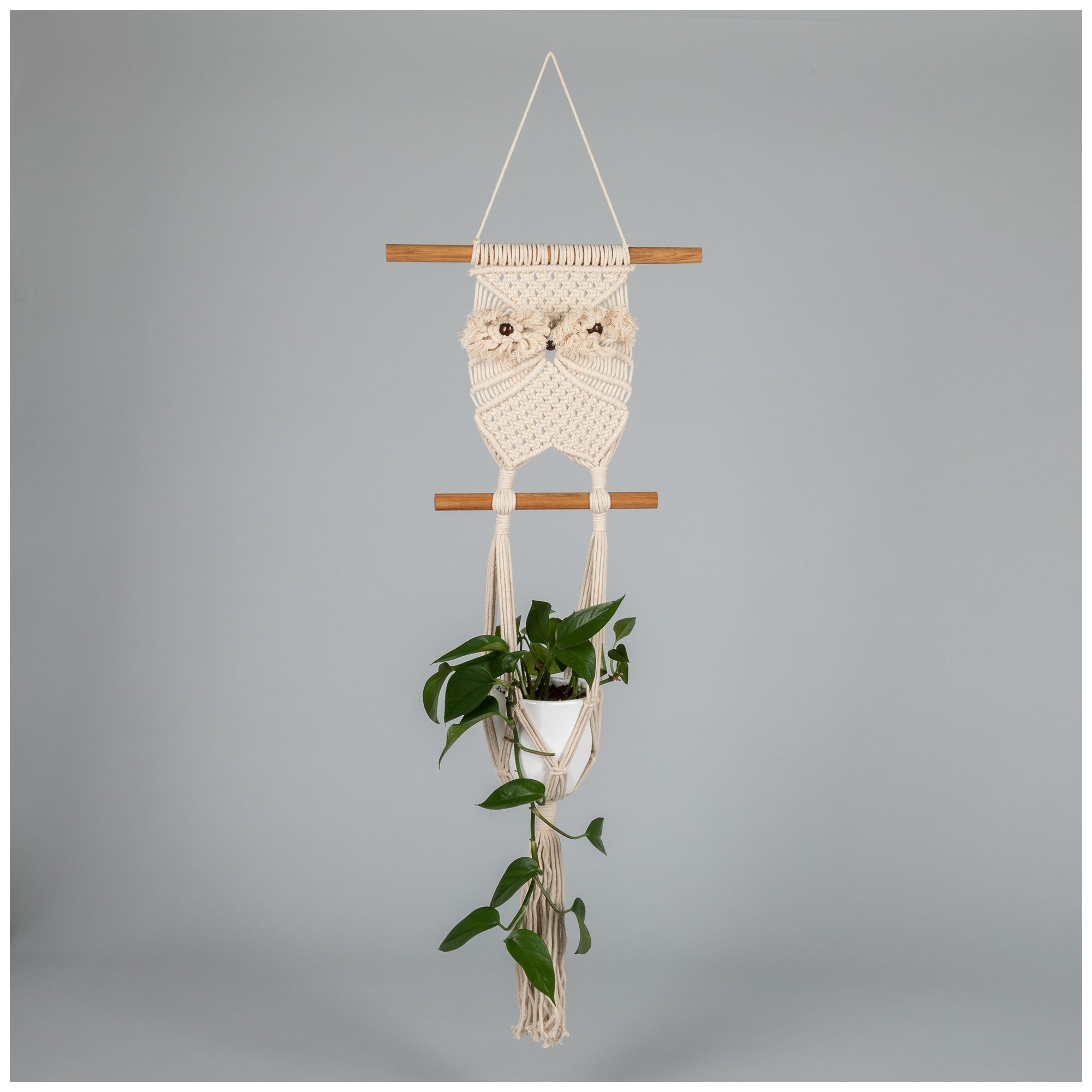 Macrame Hanging Plant Holder - Owl