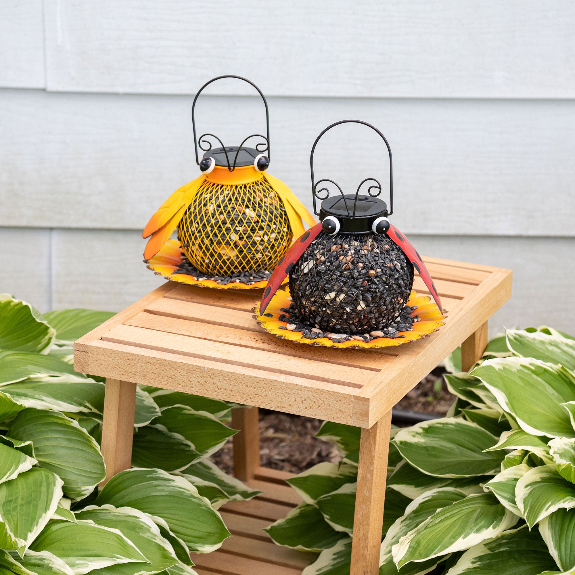 Cute As A Bug & Flower Hanging Bird Feeder - Lady Bug