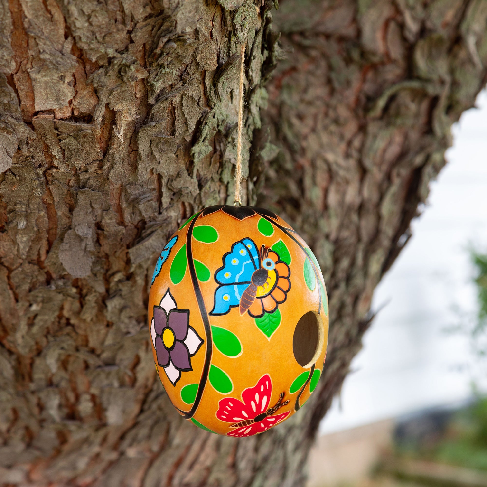 Hand Painted Gourd Birdhouse - Butterfly