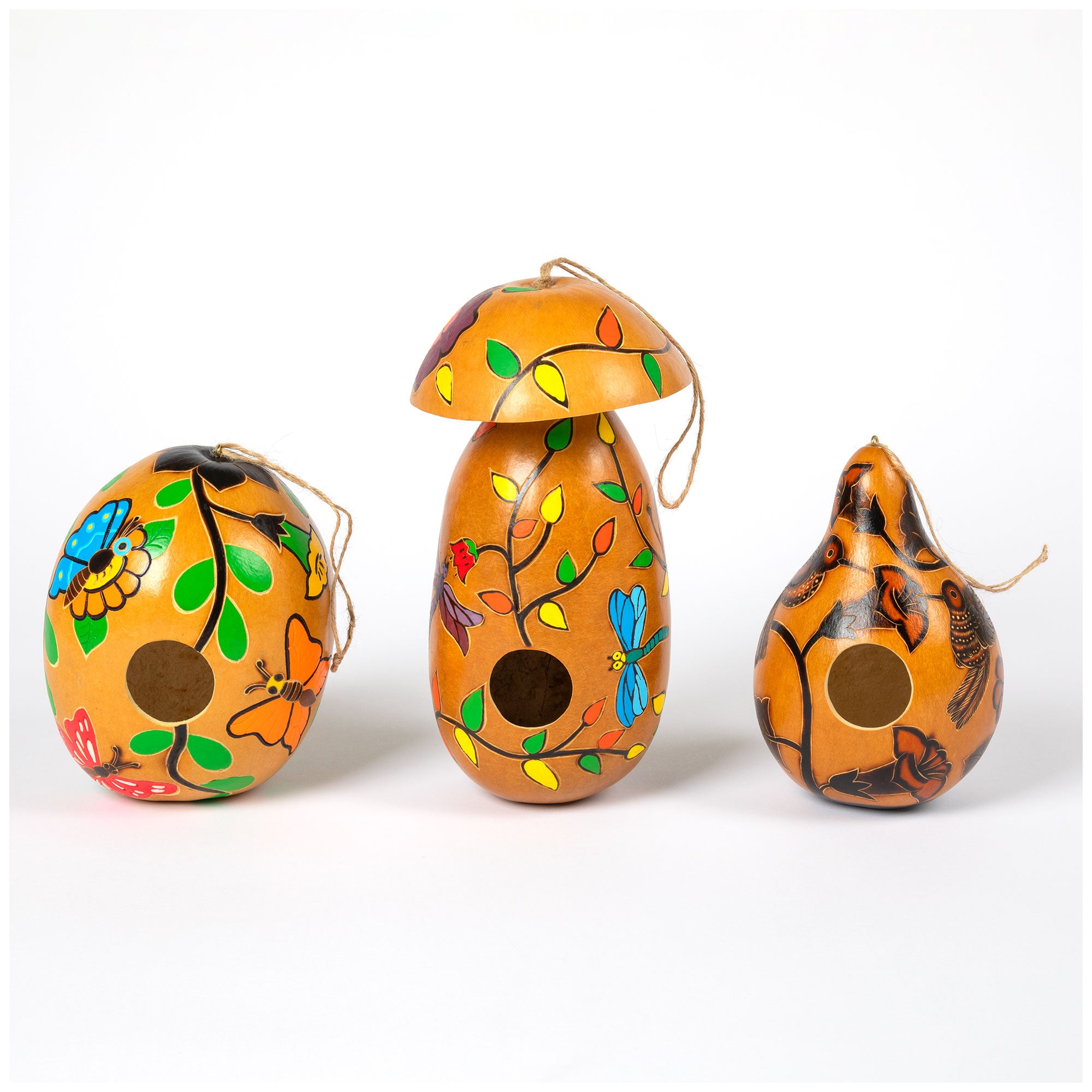 Hand Painted Gourd Birdhouse - Butterfly
