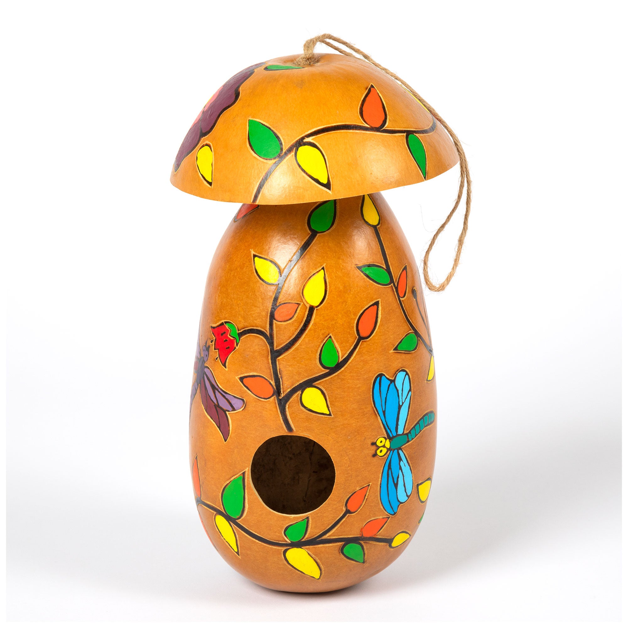 Hand Painted Gourd Birdhouse - Dragonfly