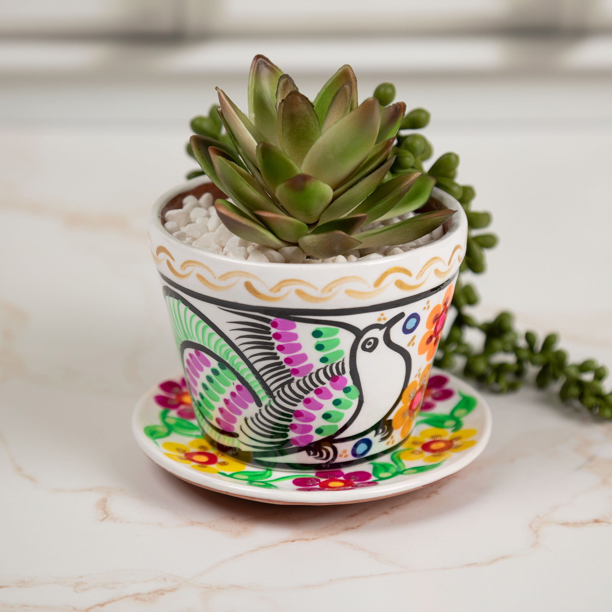 Fiesta Hand Painted Small Ceramic Planter - White - Plate & Pot