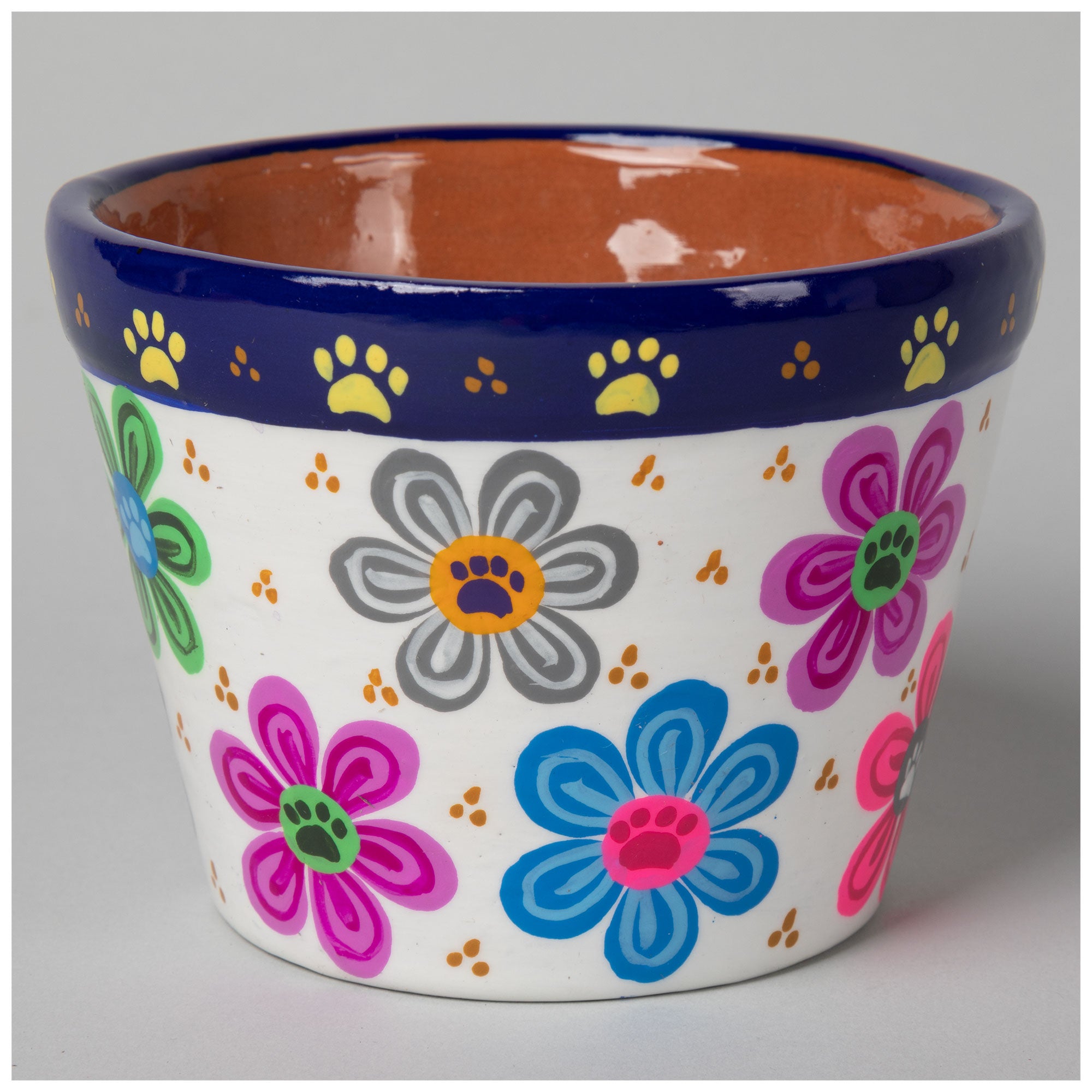 Hand Painted Paws & Flowers Ceramic Small Planter - White - Pot Only