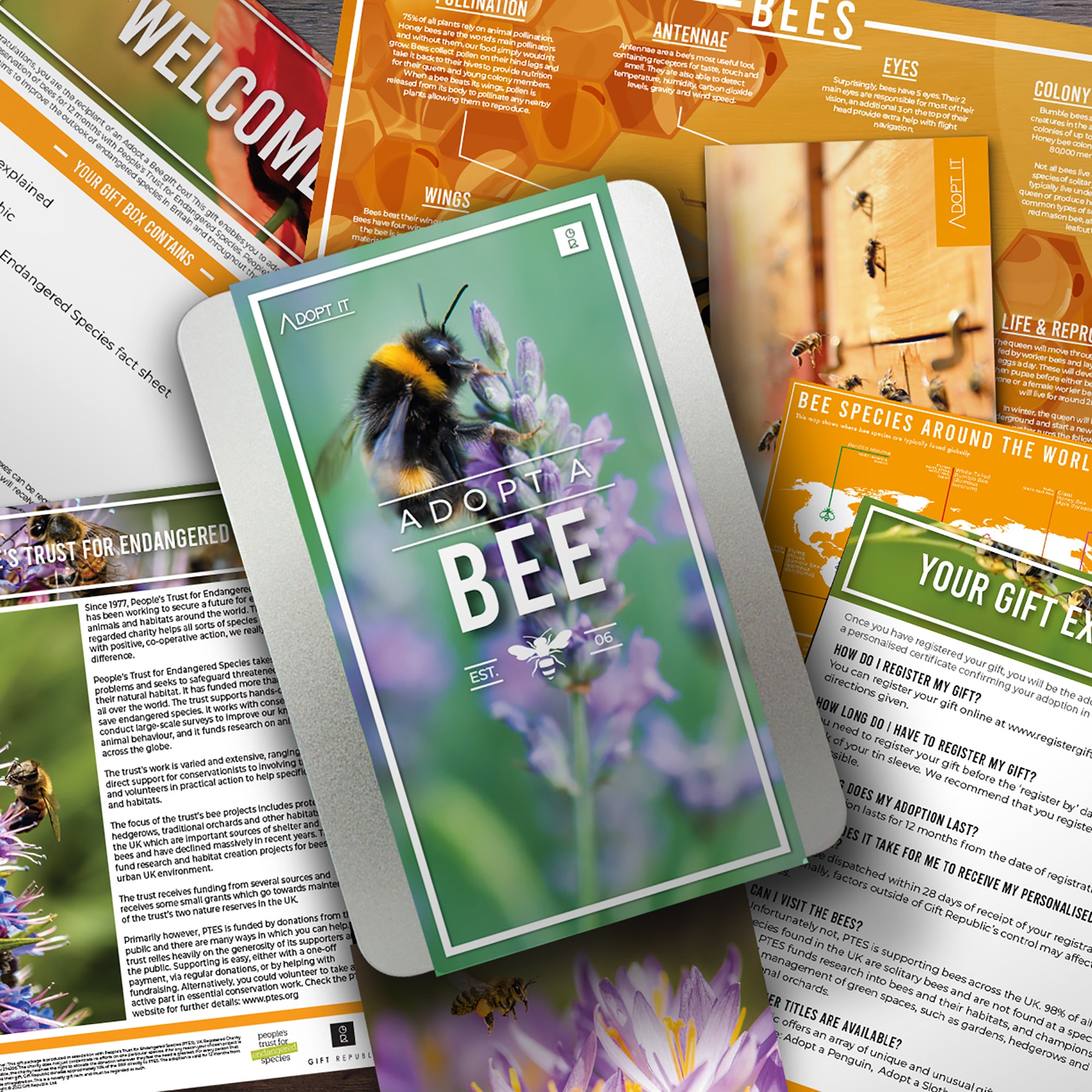 People's Trust For Endangered Species Adoption Kit - Bee