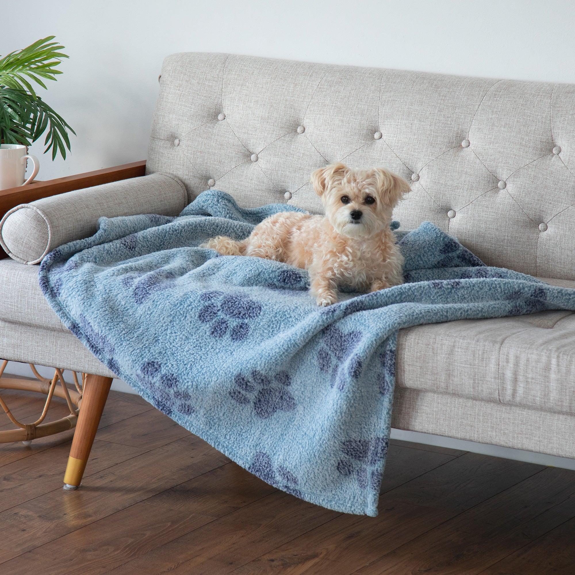 Super Cozy™ Paws I Love You Sherpa Pet Blanket - Blue - Medium