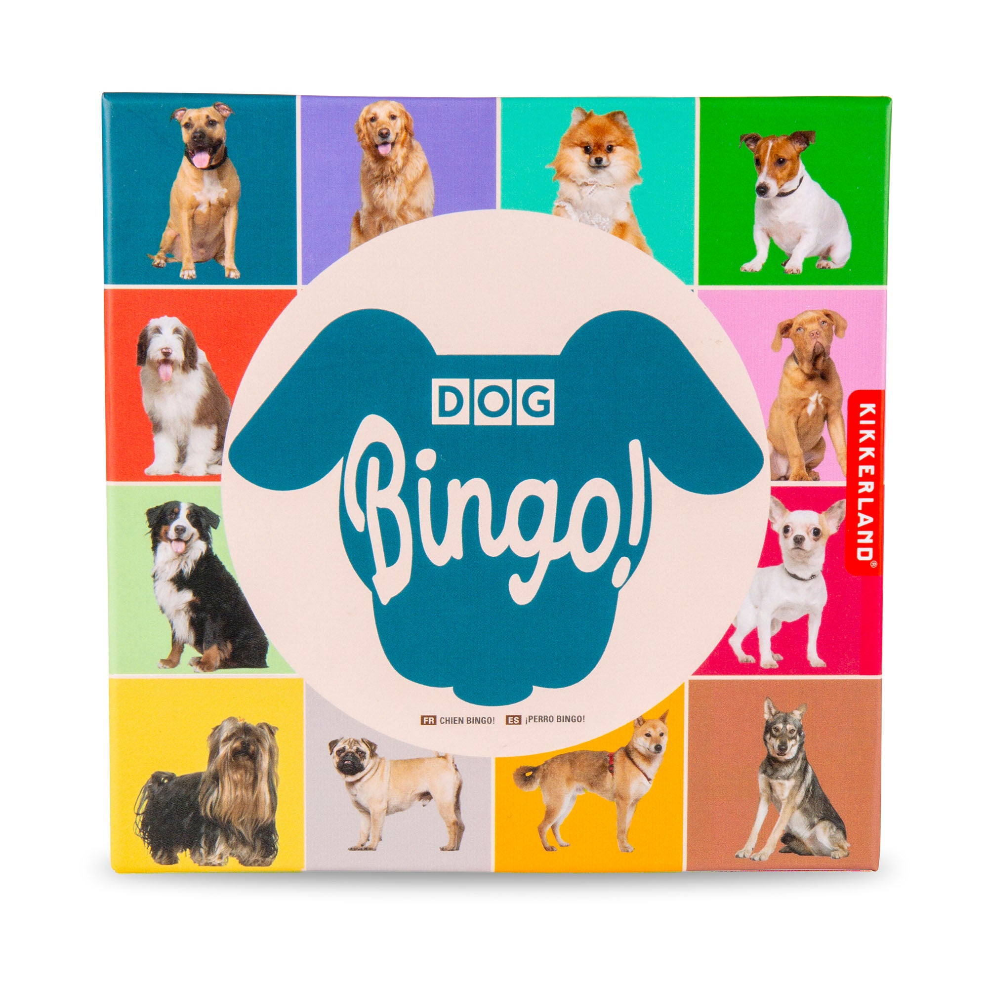 Let's Play Pet Bingo - Dog