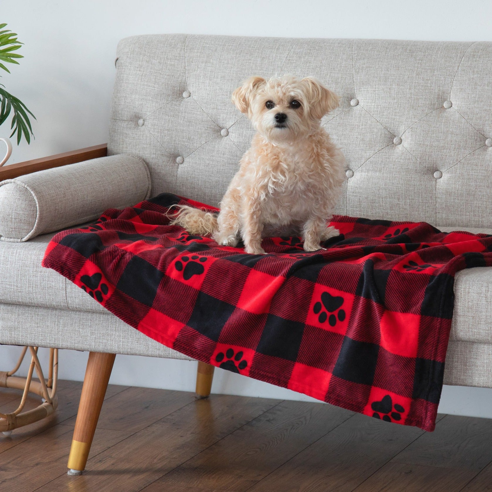 Super Cozy™ Pet Blanket - Argyle Paws - S