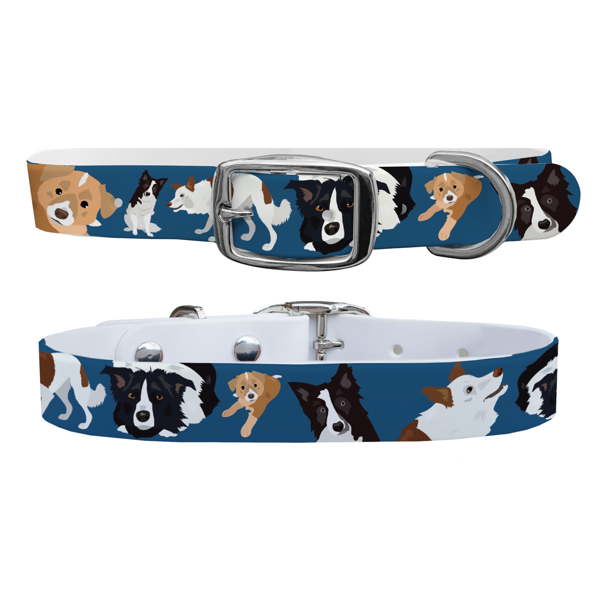 Border Collie Dog Collar With Silver Buckle - Medium