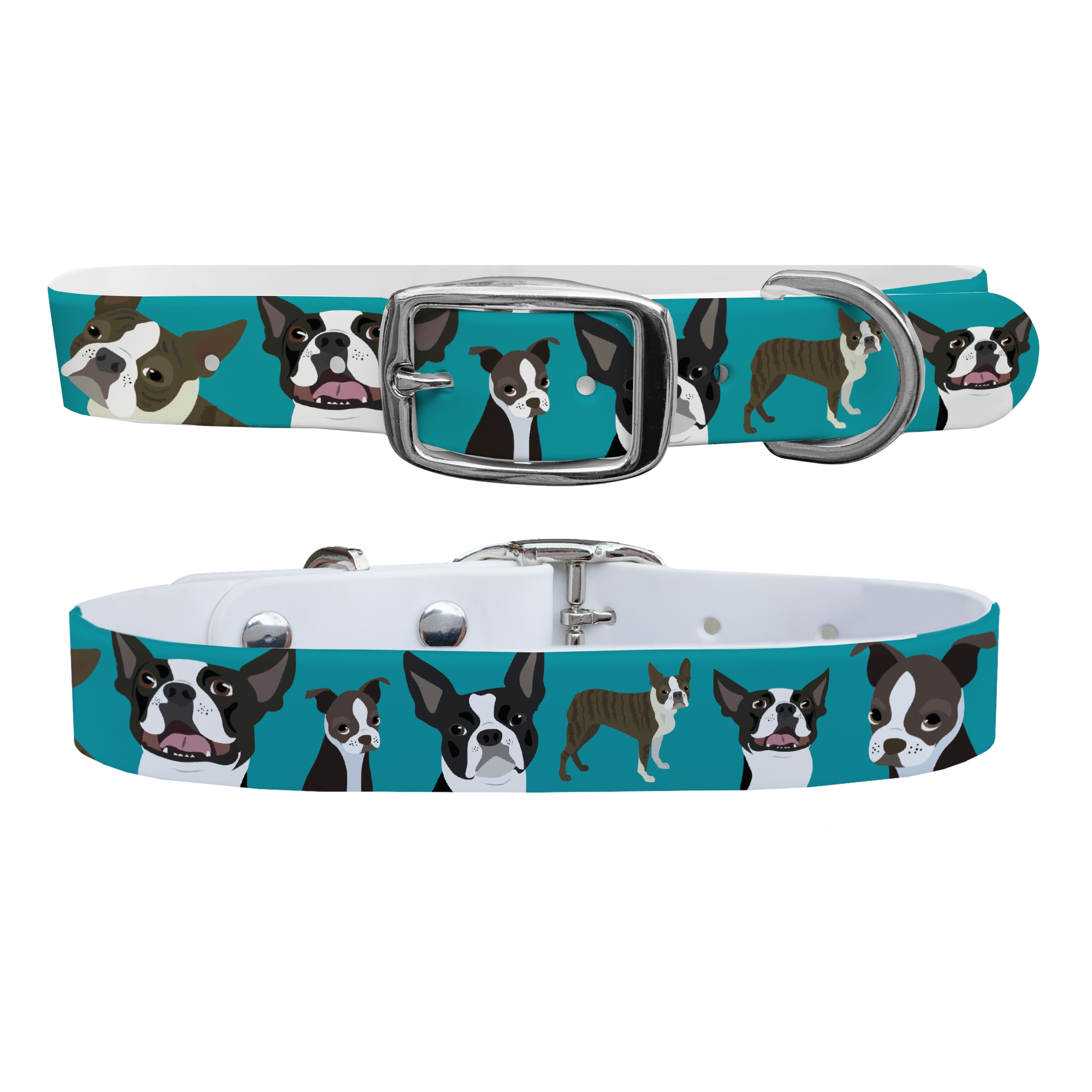 Boston Terrier Dog Collar With Silver Buckle - Medium