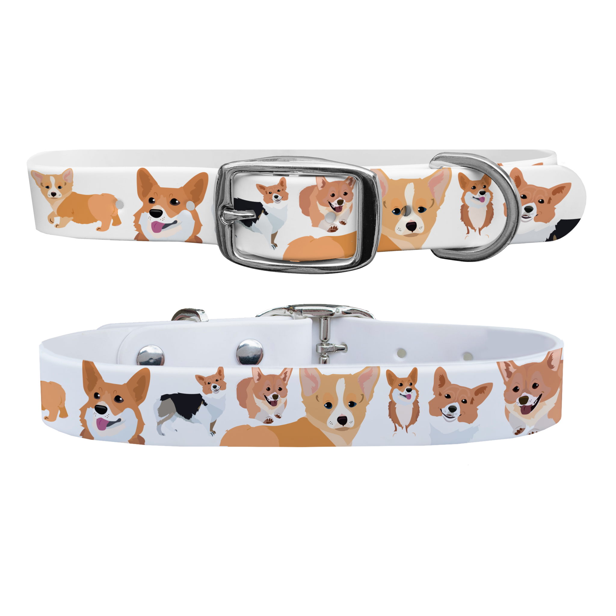 Corgi Dog Collar With Silver Buckle - Large