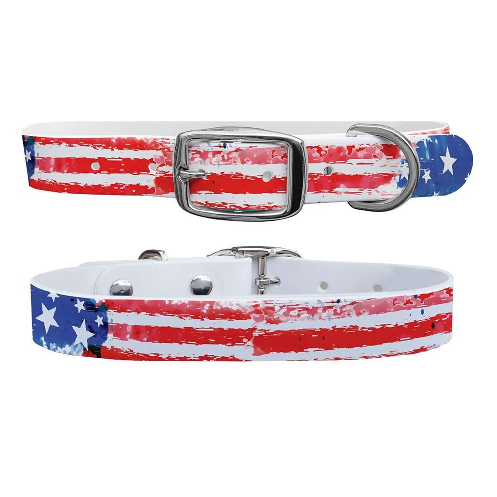Vintage Americana Dog Collar With Silver Buckle - Small