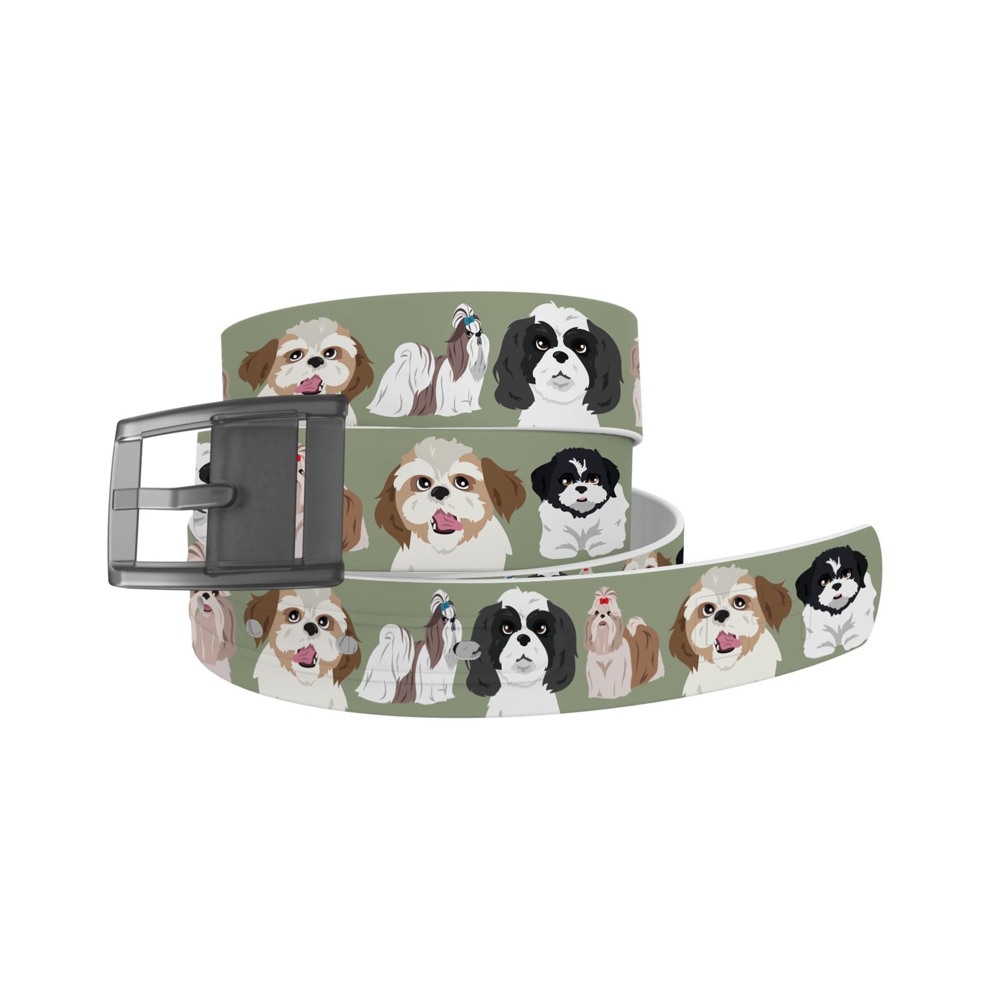 Shih Tzu Belt With White Buckle