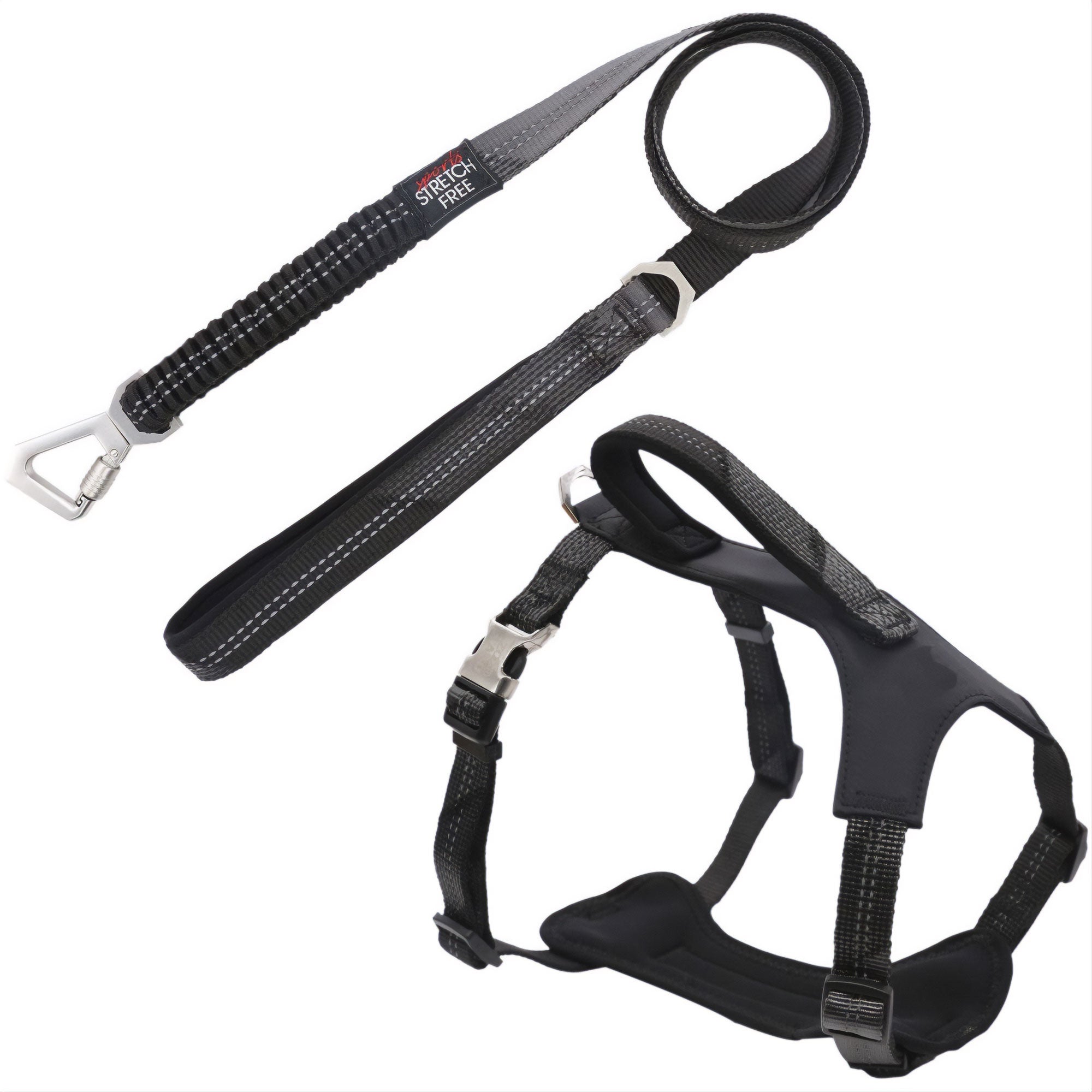 Pet Life® Geo-prene Leash & Harness - Black - Medium