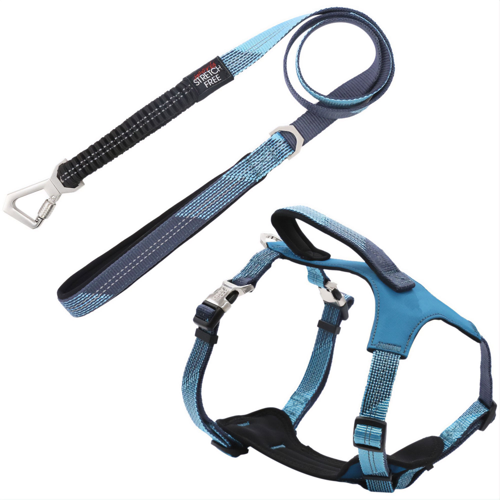 Pet Life® Geo-prene Leash & Harness - Blue - Medium