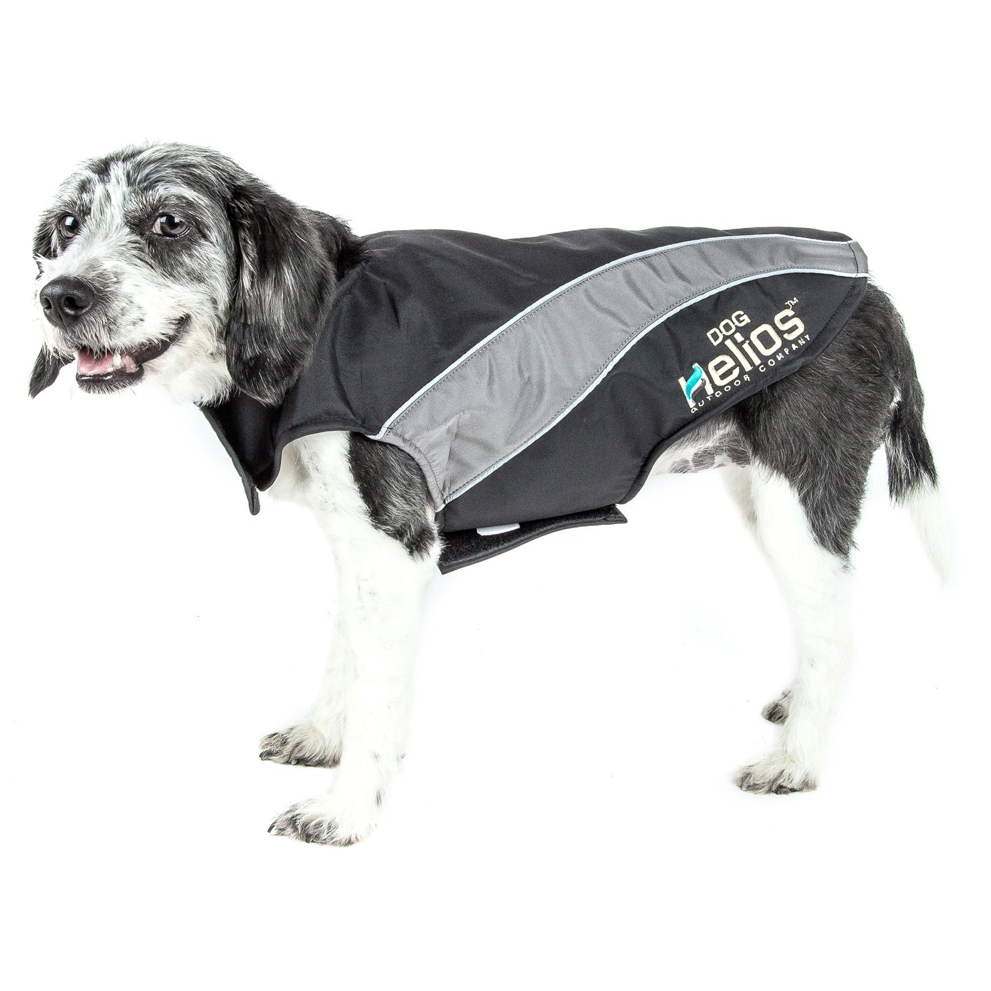 Dog Helios® Octane Softshell Jacket - Black/Gray - Medium