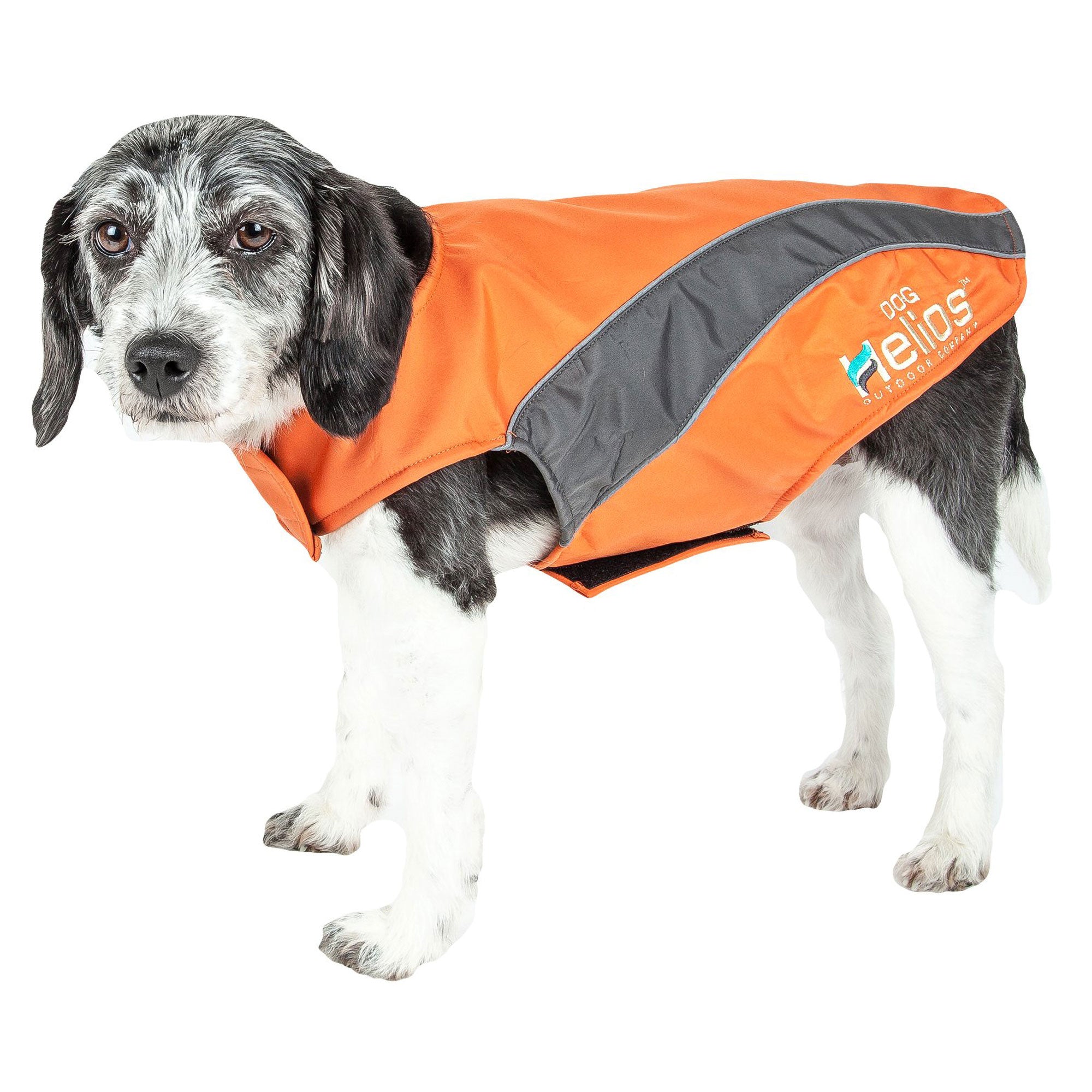 Dog Helios® Octane Softshell Jacket - Orange/Gray - Medium