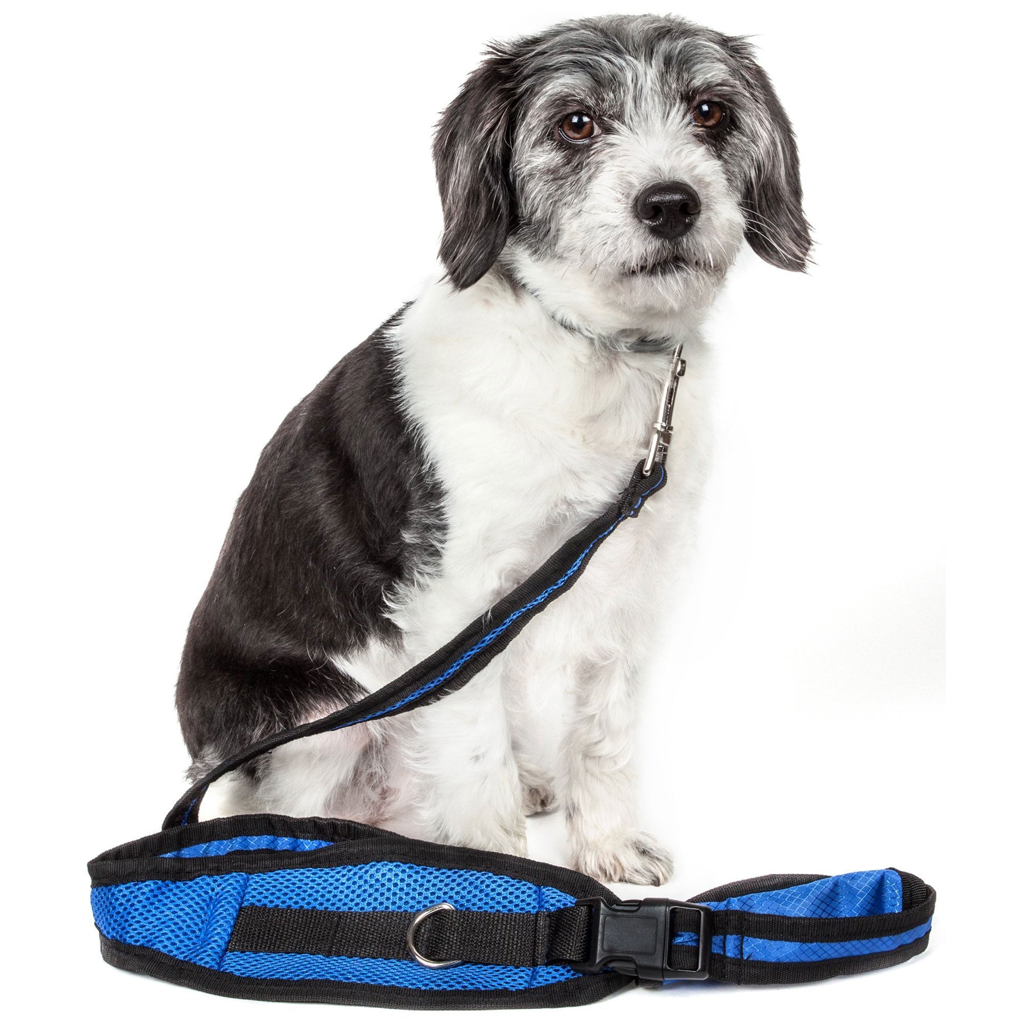 Pet Life Echelon Dog Leash & Belt With Pouch - Blue