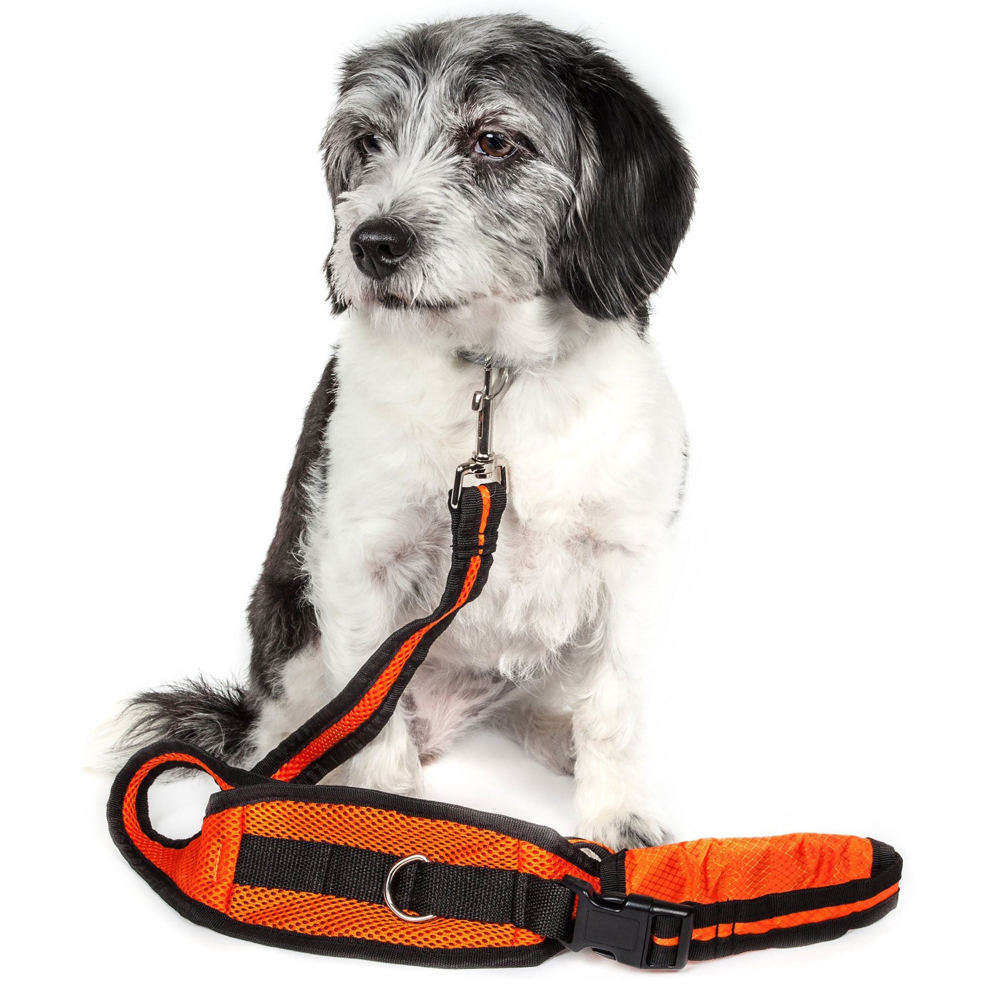Pet Life Echelon Dog Leash & Belt With Pouch - Orange