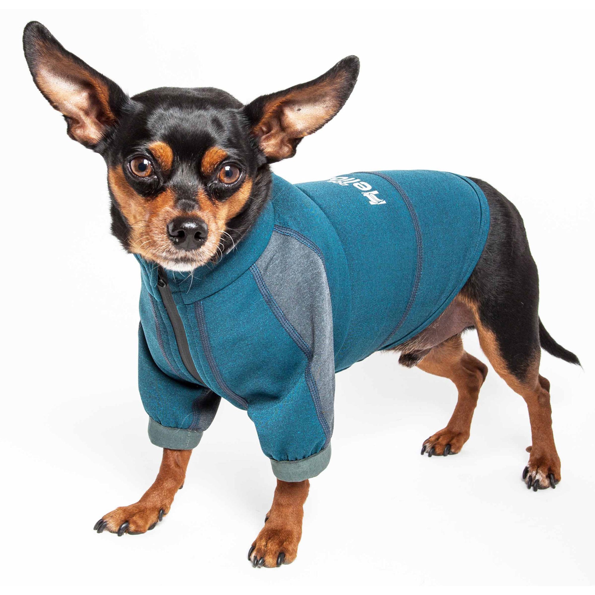 Dog Helios® Eboneflow Dog Yoga T-Shirt - Ocean Blue / Grey - X-small