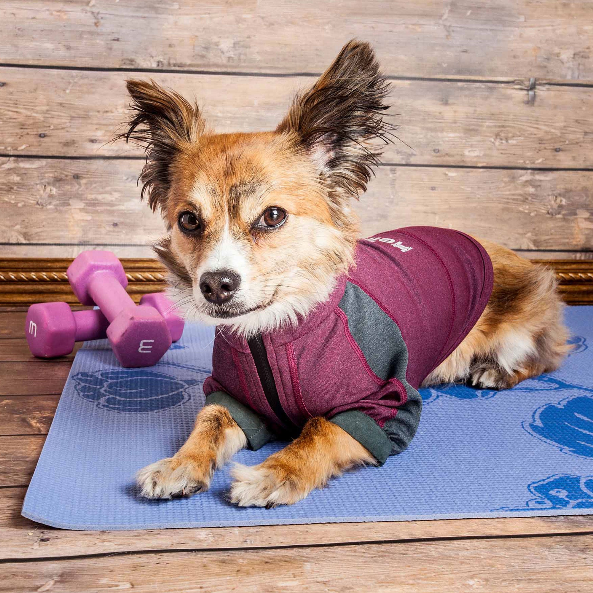Dog Helios® Eboneflow Dog Yoga T-Shirt - Dark Pink / Grey - Medium