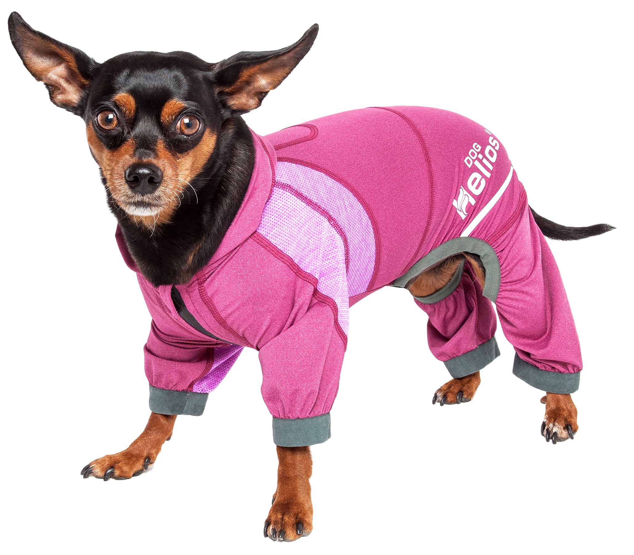 Dog Helios® 'Namastail' Hoodie Tracksuit - Pink - Large