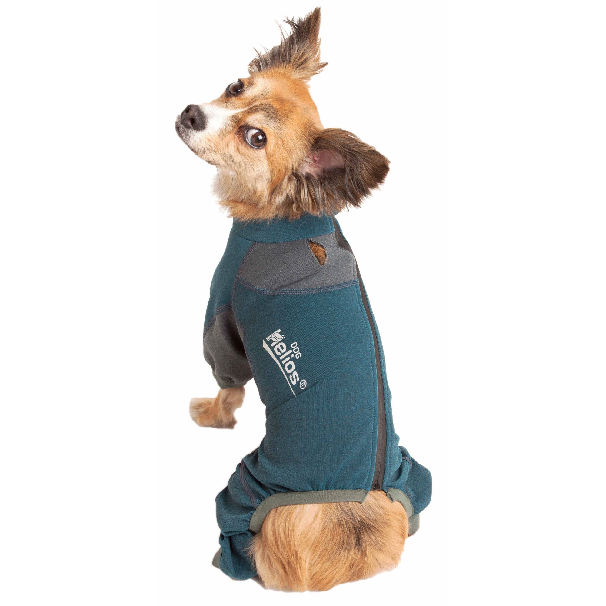 Dog Helios® Rufflex Dog Warmup Track Suit - Blue & Gray - Medium
