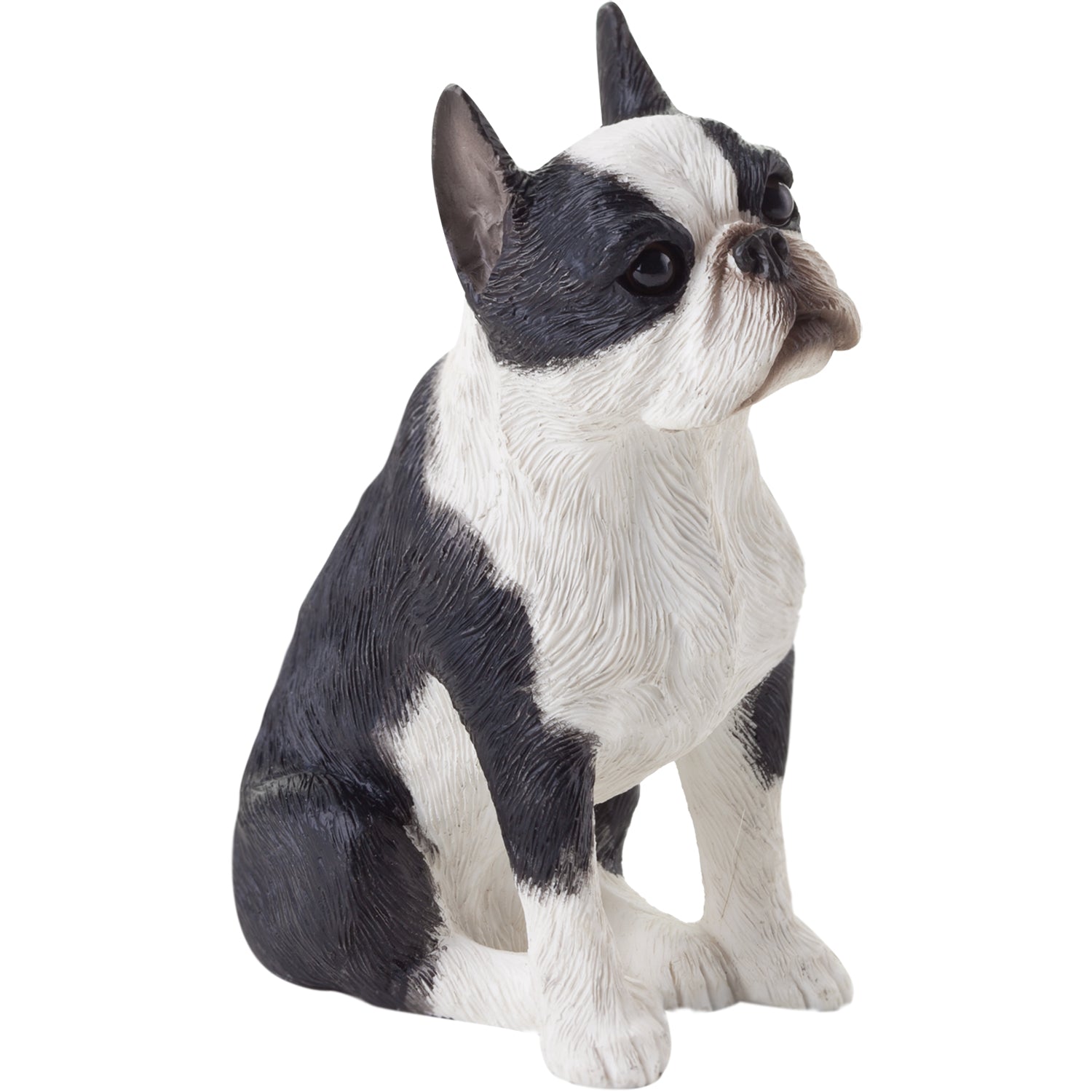 Sandicast Boston Terrier Dog Sculpture