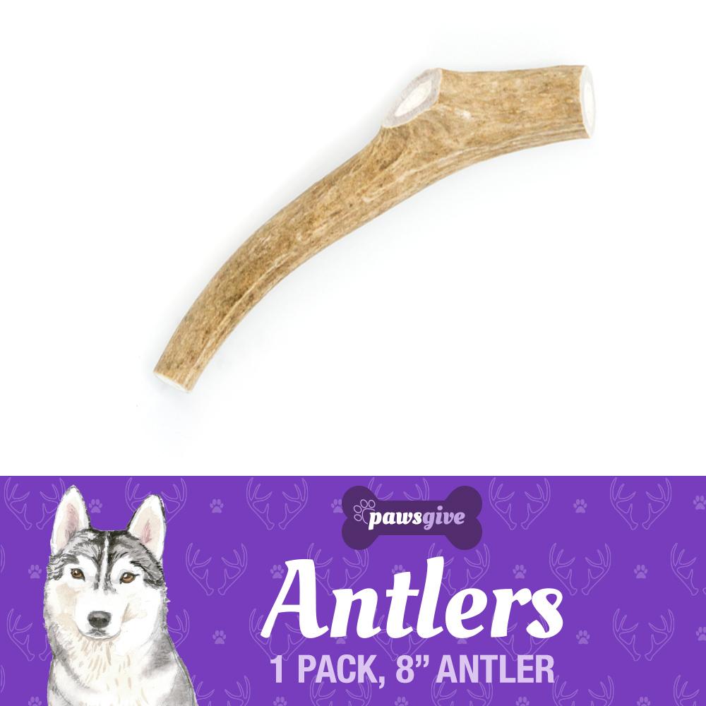 PawsGive Naturally Shed Antler Dog Chews , Natural Dog Chews