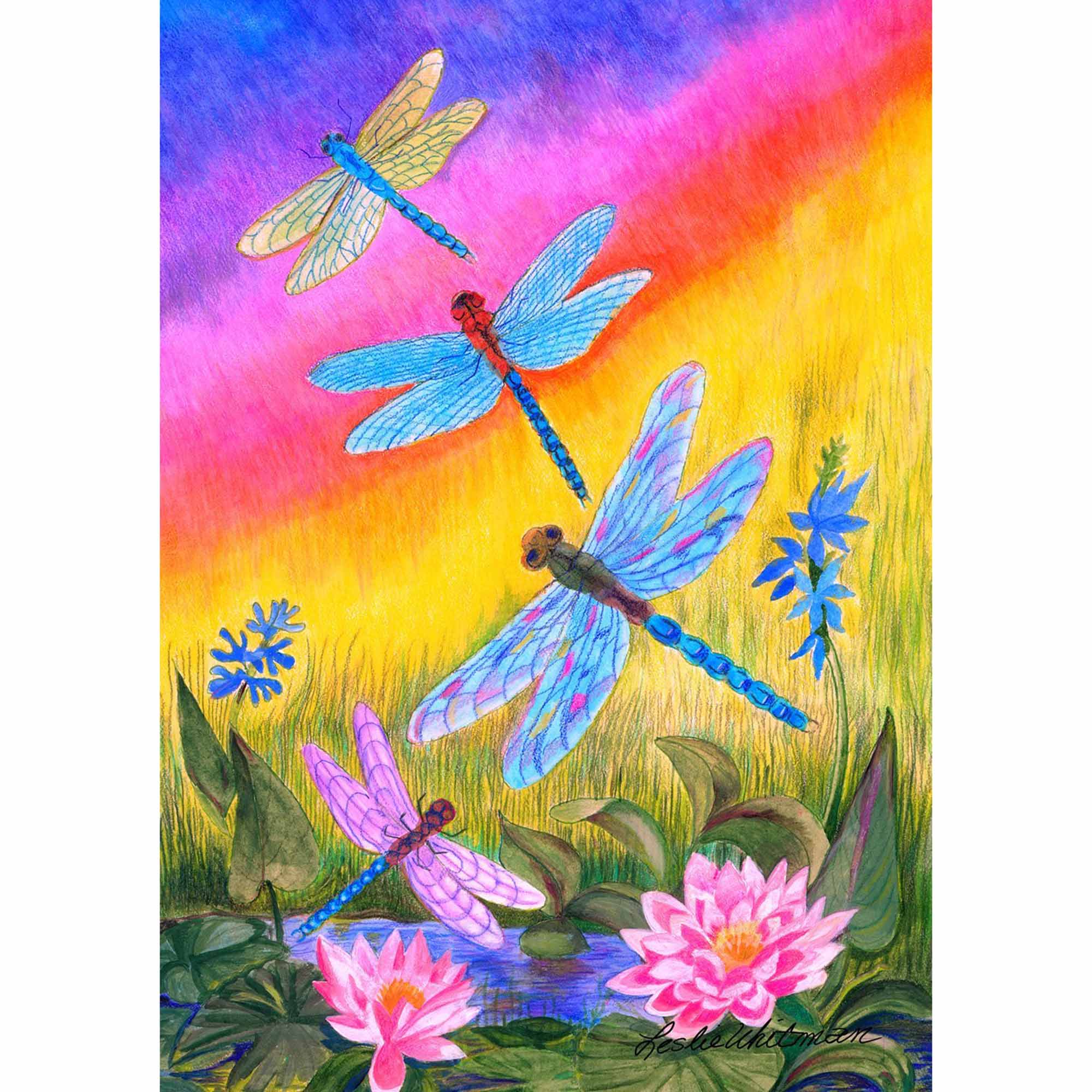 TOLAND Dusk Dragonflies Garden Flag