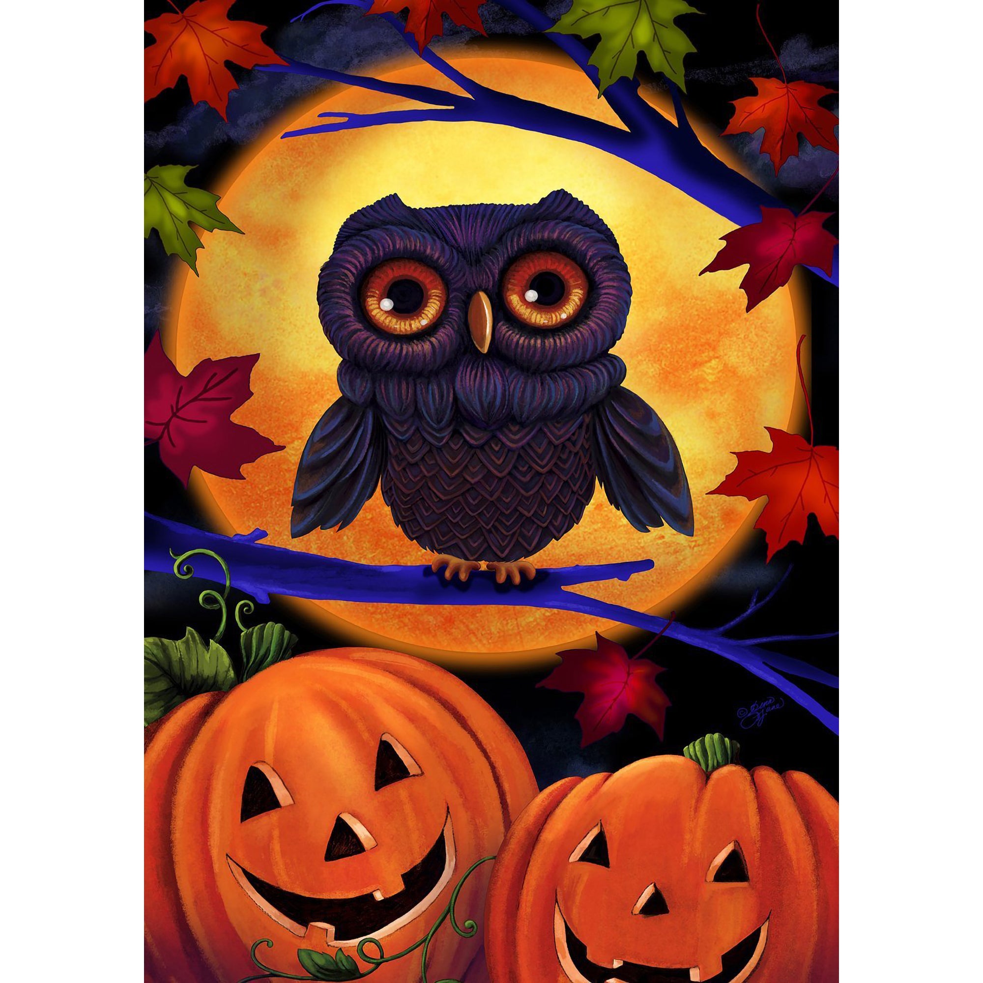 Toland Halloween Owl Garden Flag