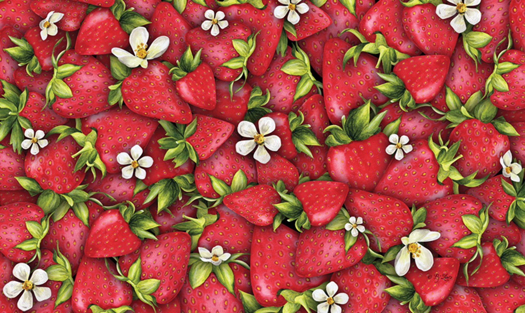Toland Strawberry Collage Door Mat - 18 X 30 Inch