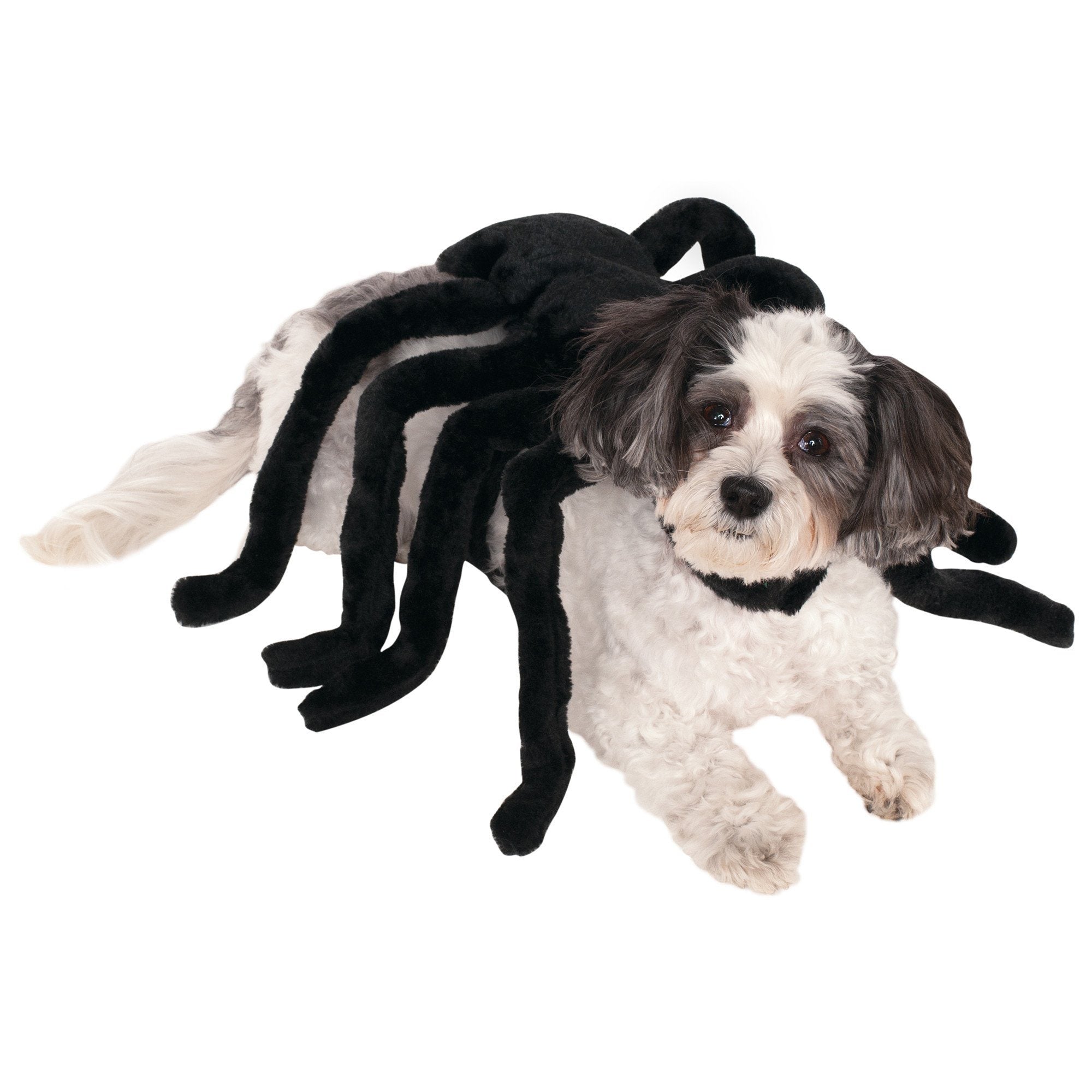 Spider Dog Costume - S