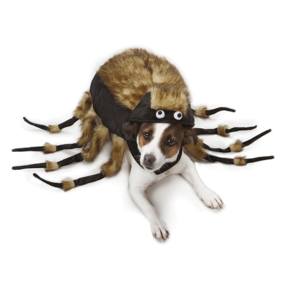 Zack & Zoey® Tarantula Dog Costume - M