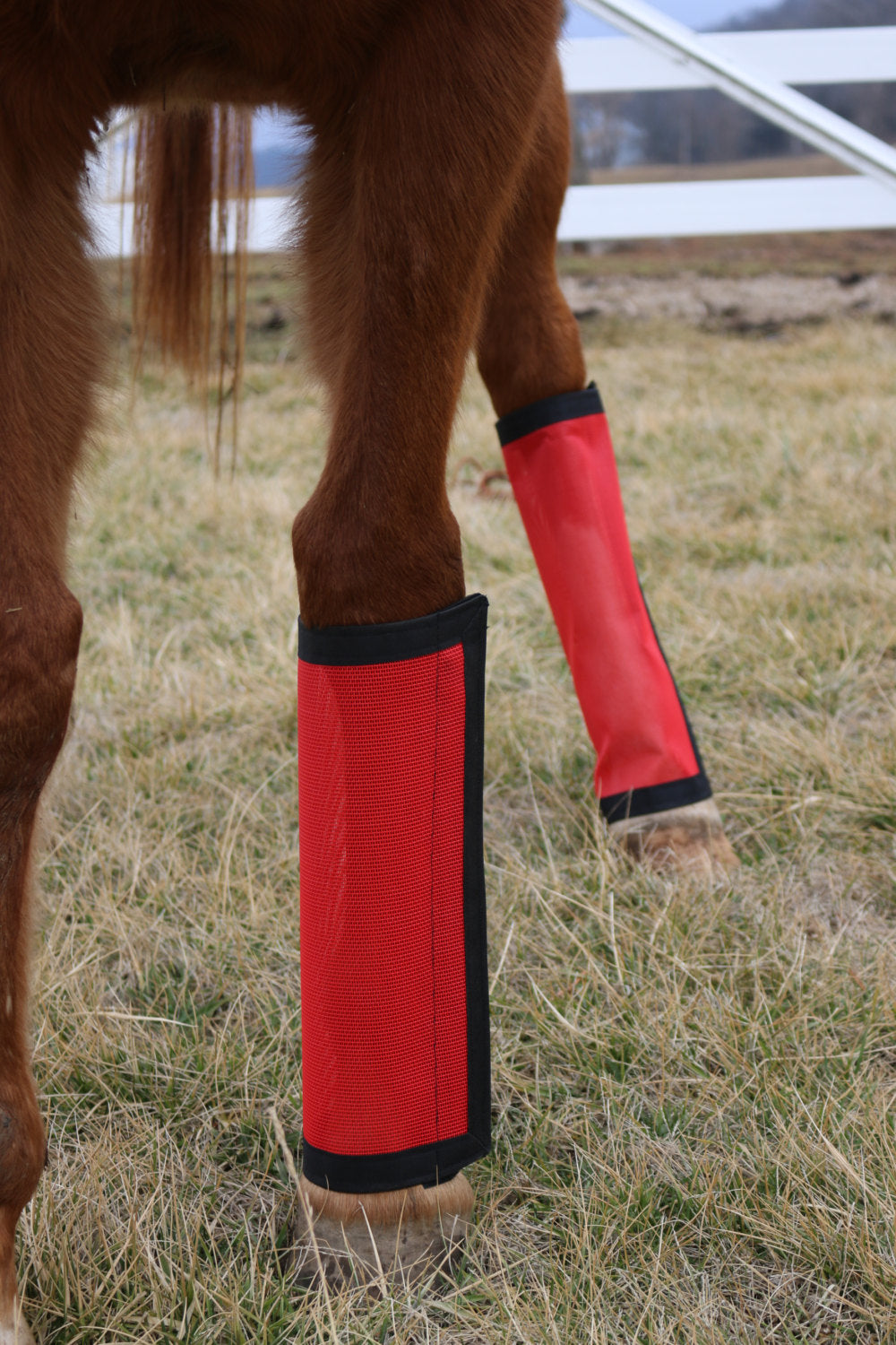 leg protection for horses