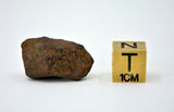 10.4 gram MUNDRABILLA meteorite - Iron Meteorite
