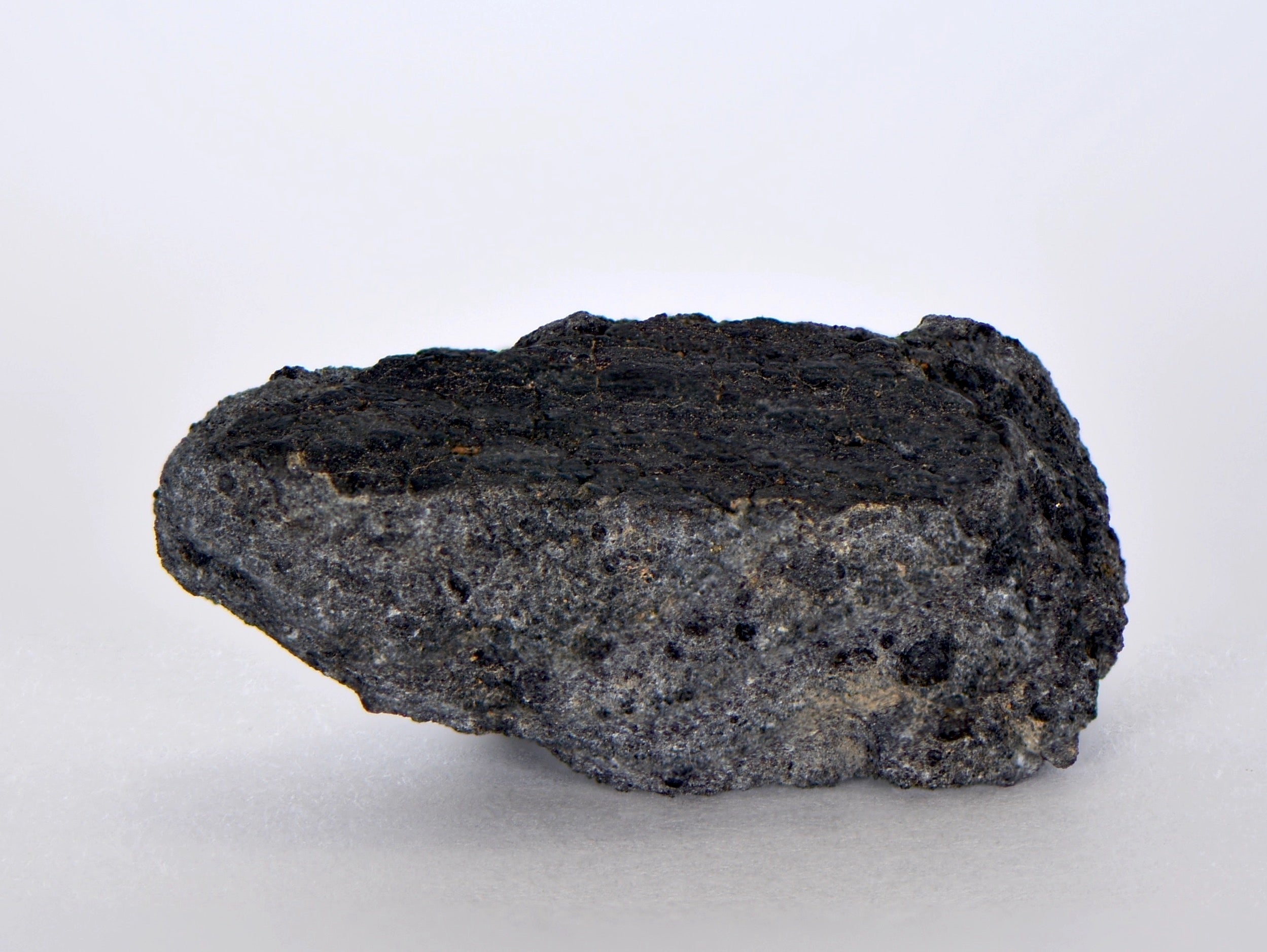 15.5g NWA 12925 I Carbonaceous Chondrite with very Fresh Fusion Crust